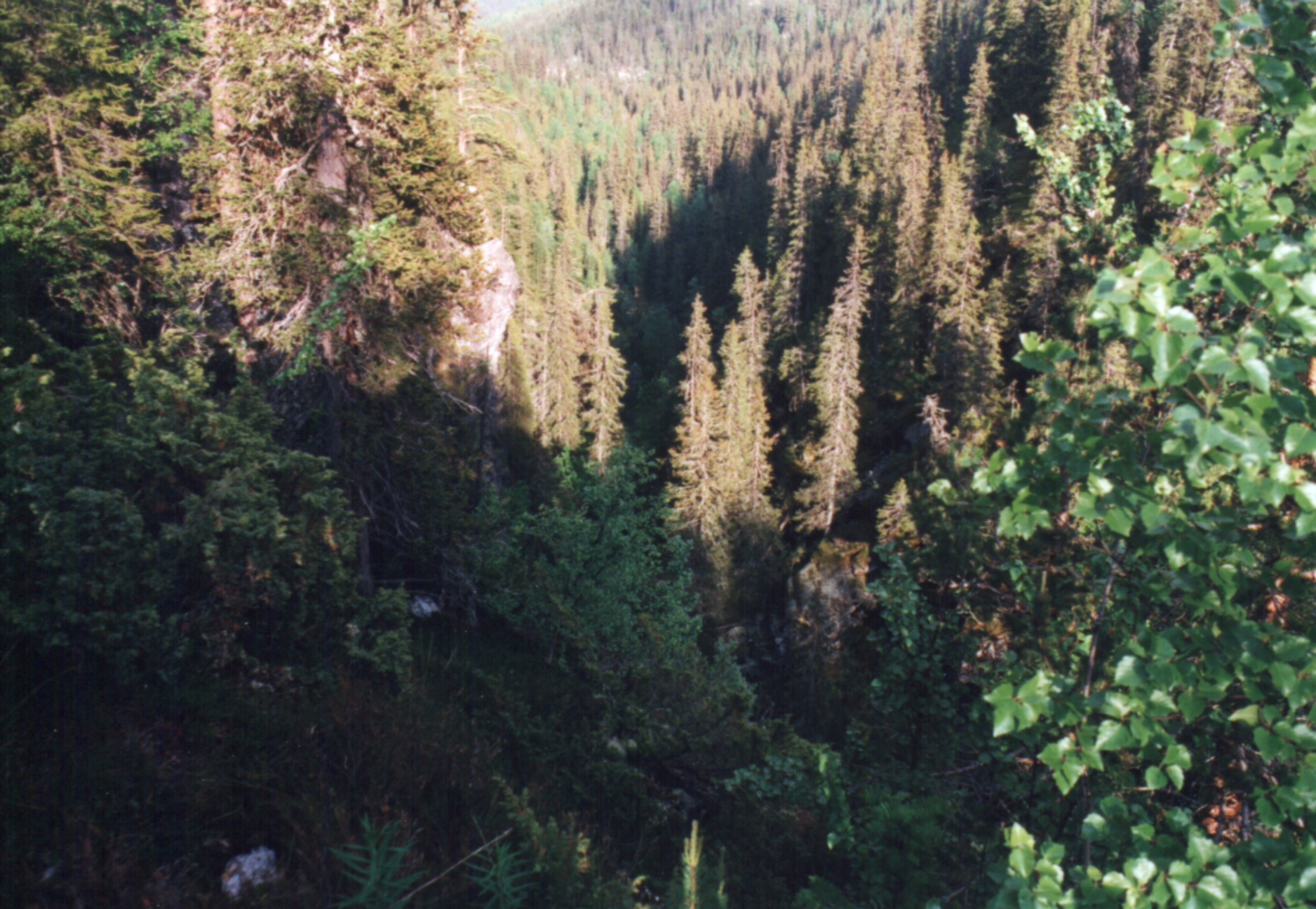 Helvete jættegryder, Lillehammer Norge