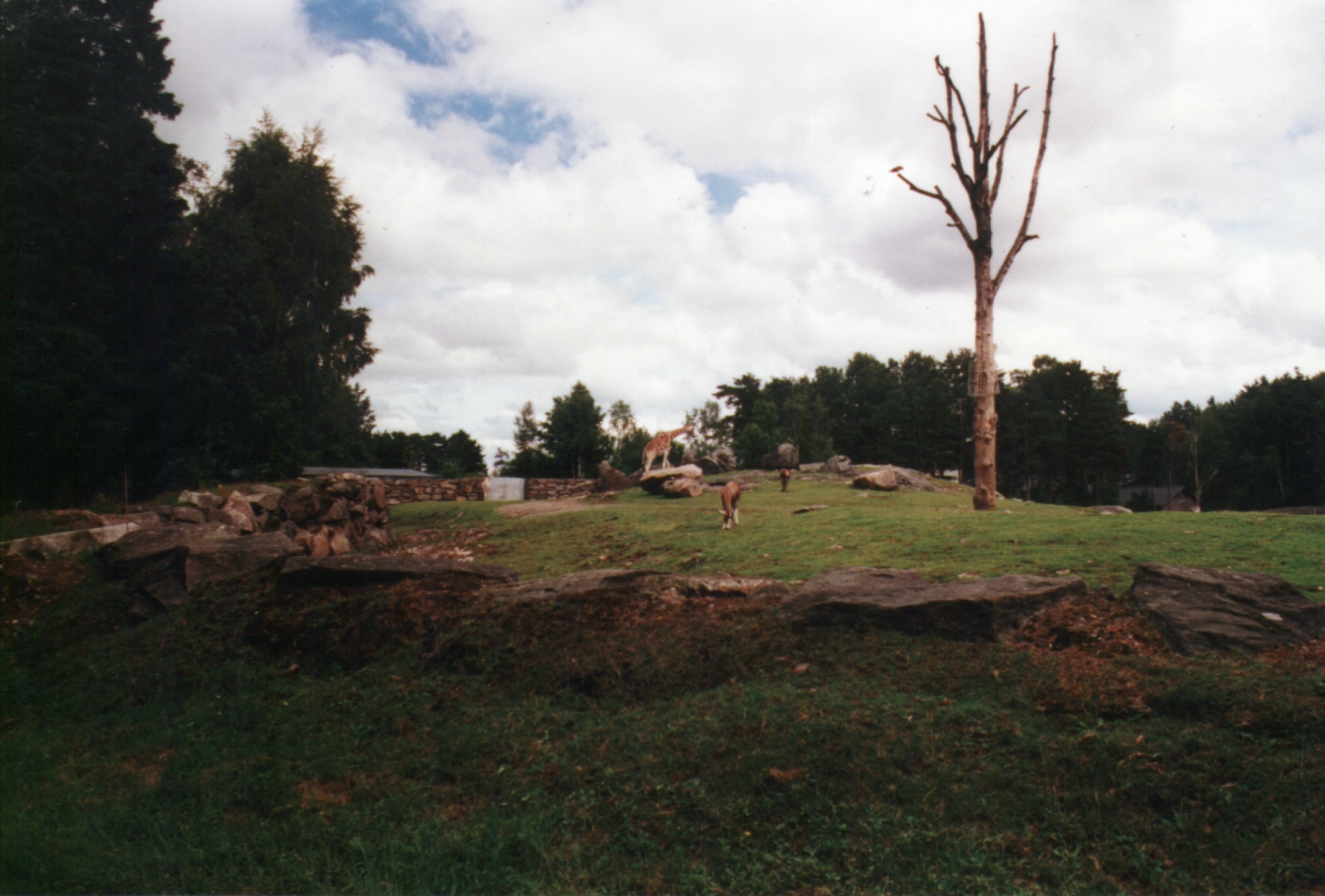 Borås Djurpark, Sverige.