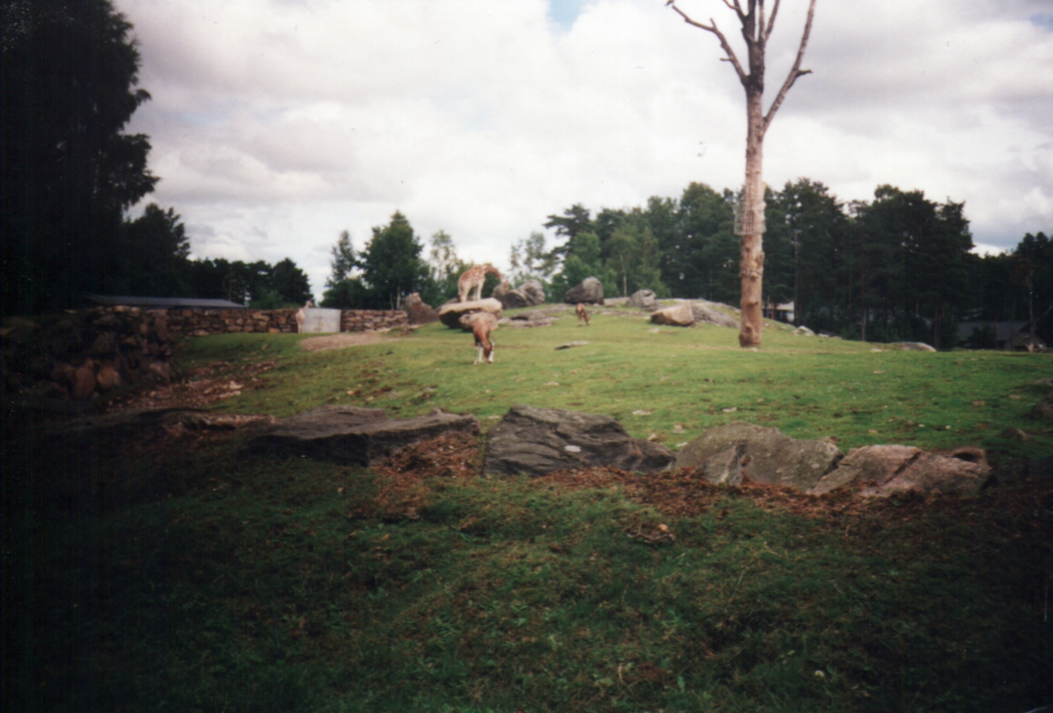 Borås Djurpark, Sverige.