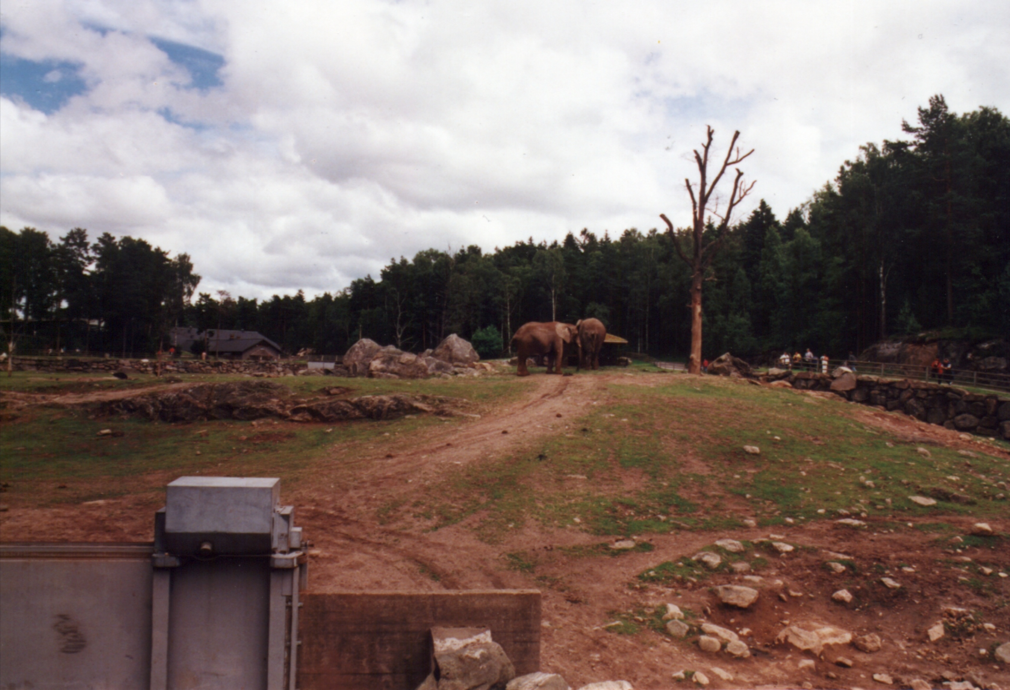 Borås Djurpark, Sverige.