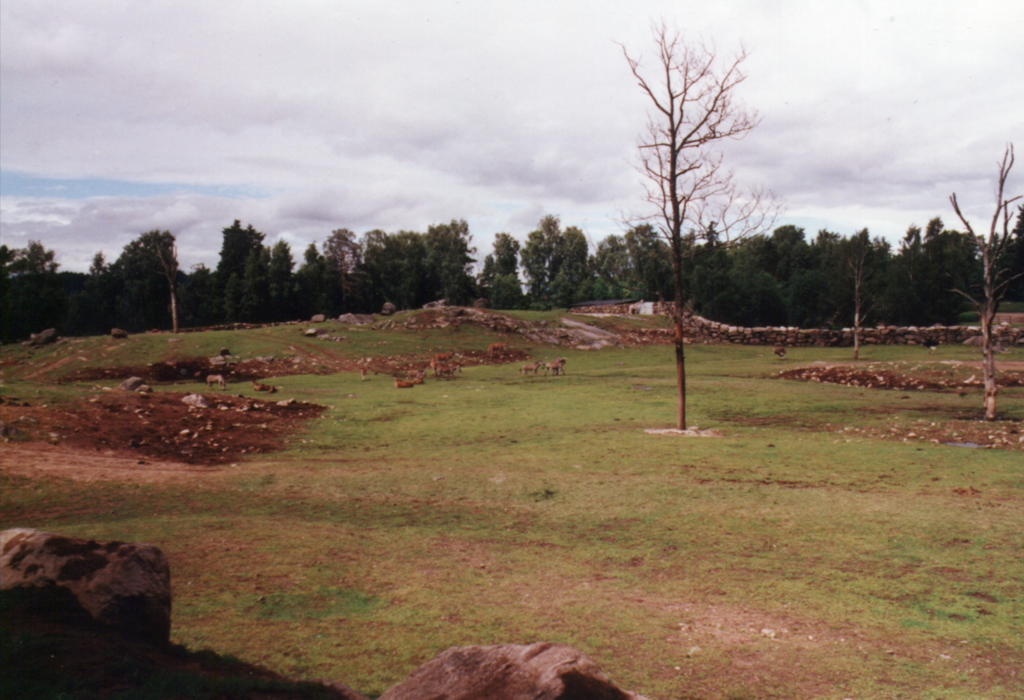 Borås Djurpark, Sverige.