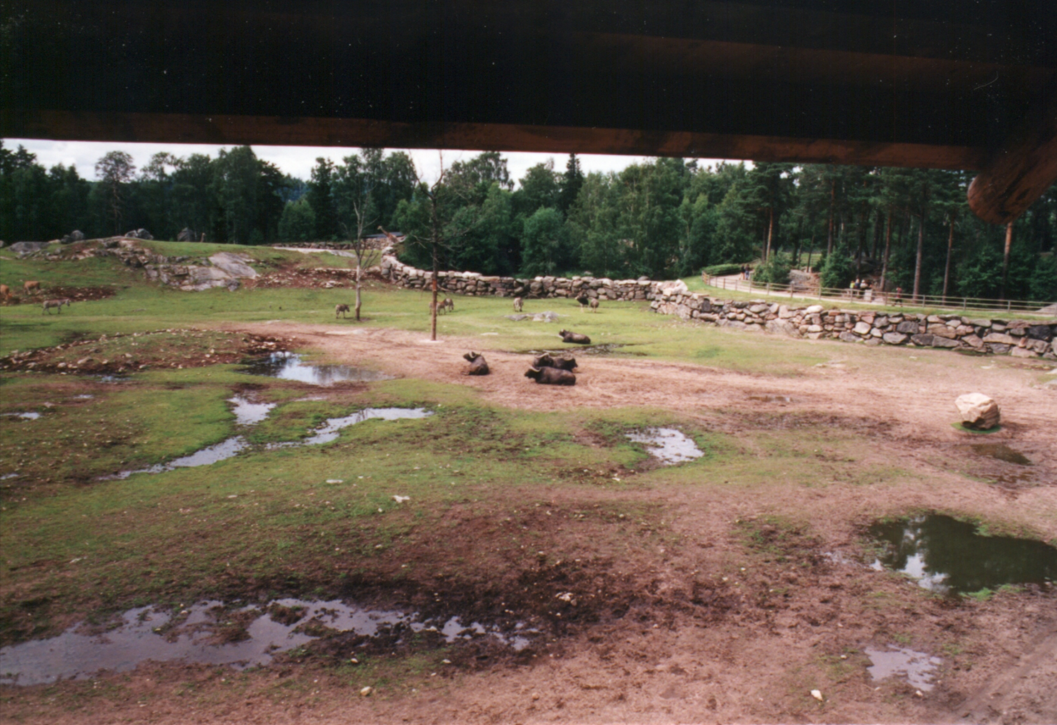 Borås Djurpark, Sverige.