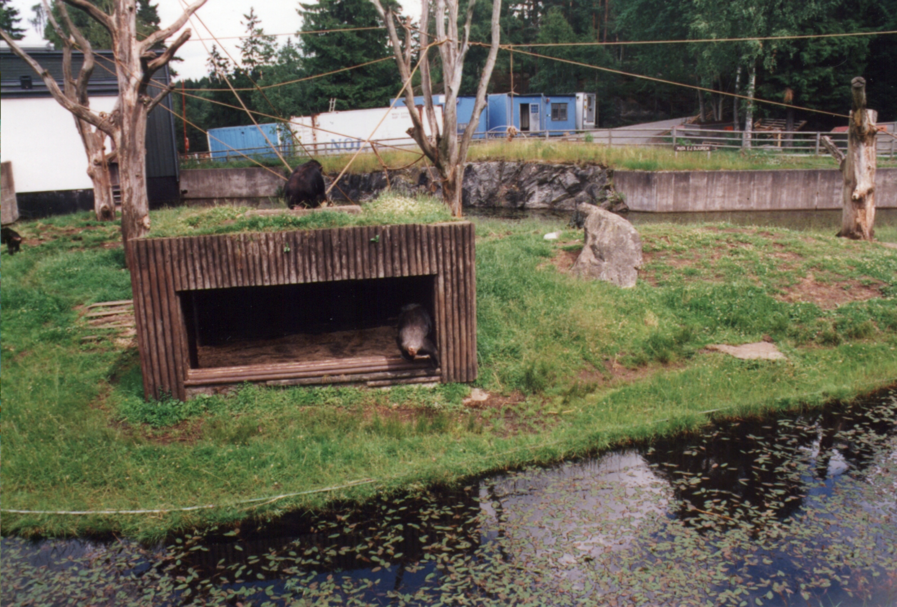 Borås Djurpark, Sverige.