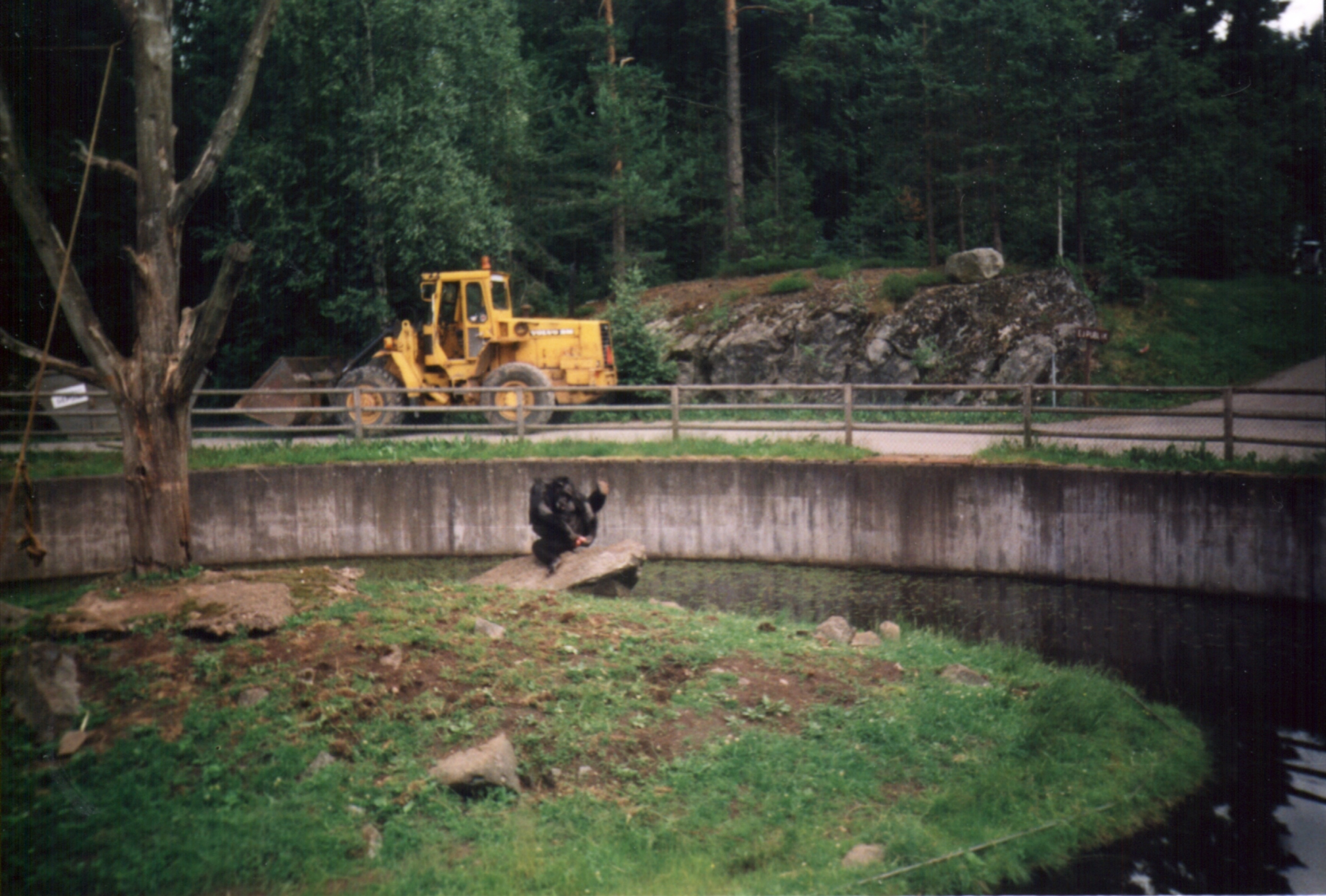 Borås Djurpark, Sverige.