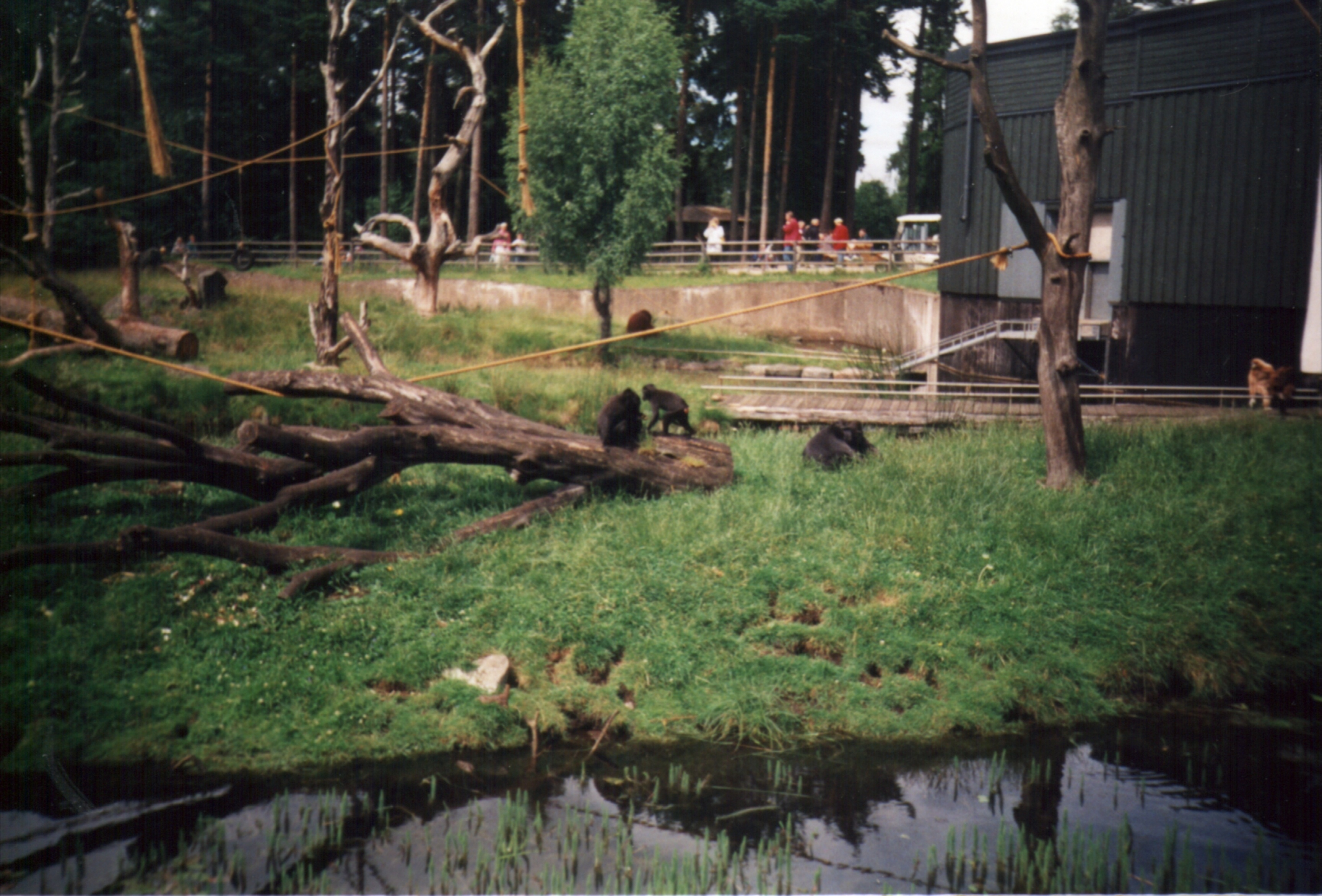 Borås Djurpark, Sverige.