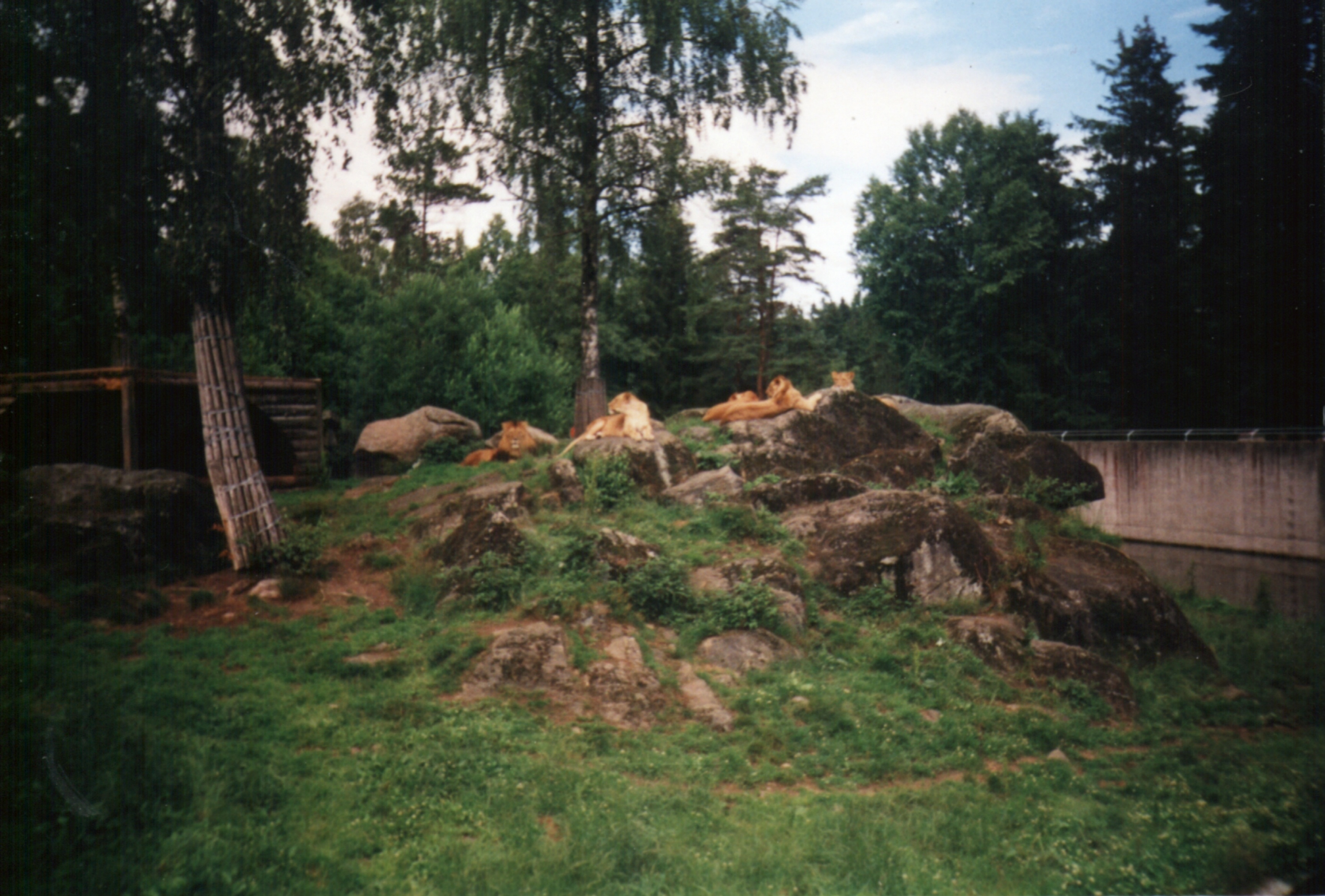 Borås Djurpark, Sverige.