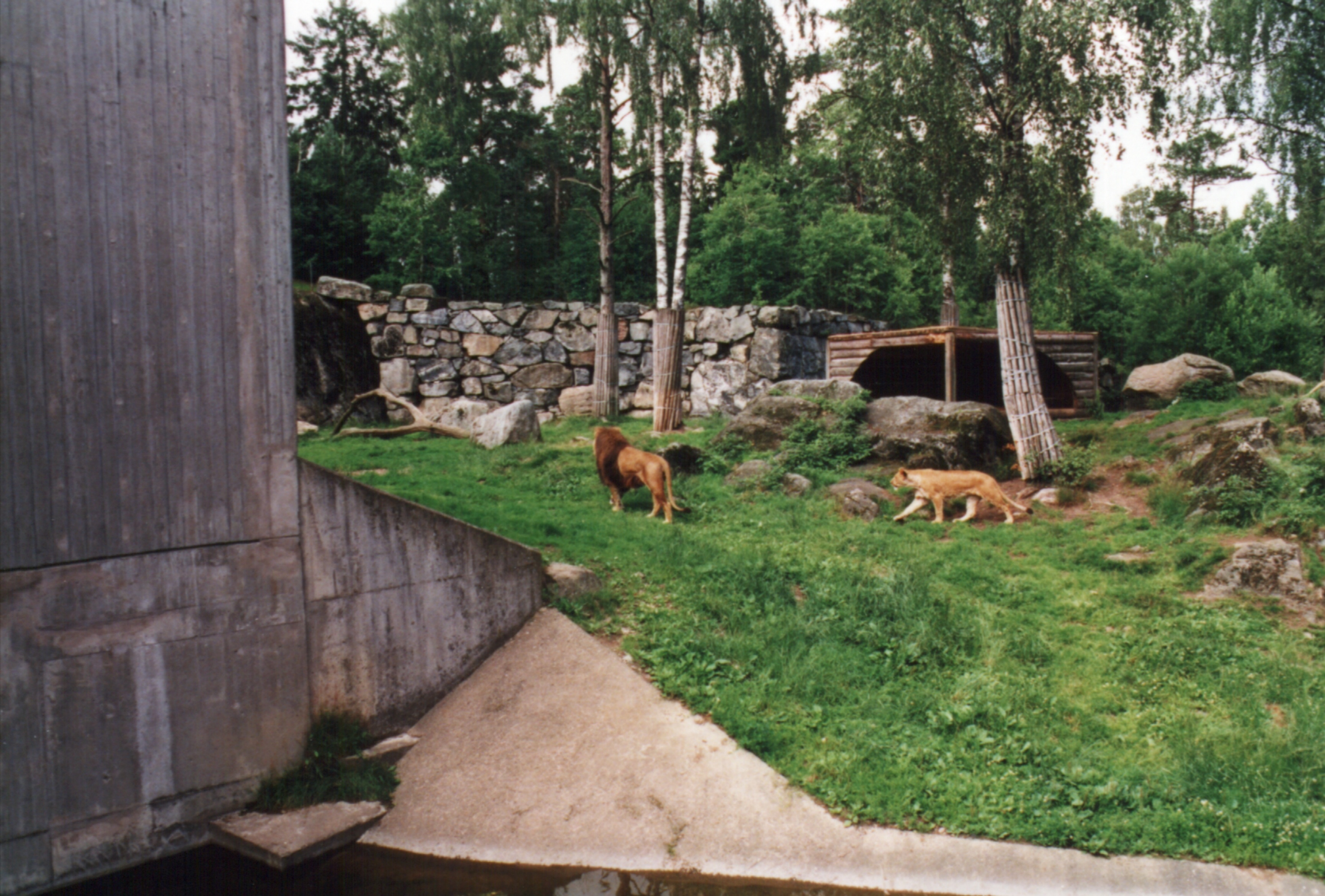 Borås Djurpark, Sverige.