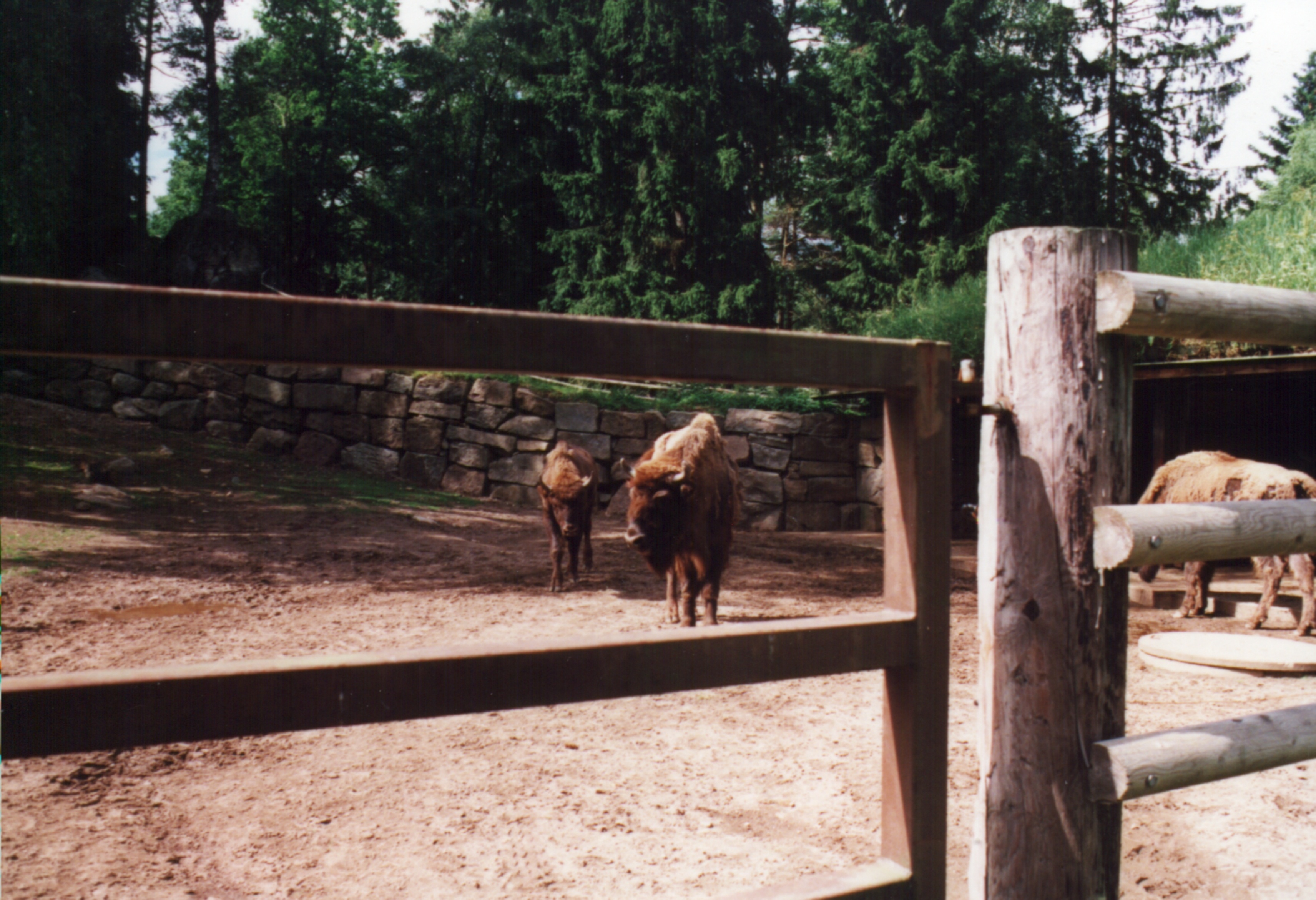 Borås Djurpark, Sverige.