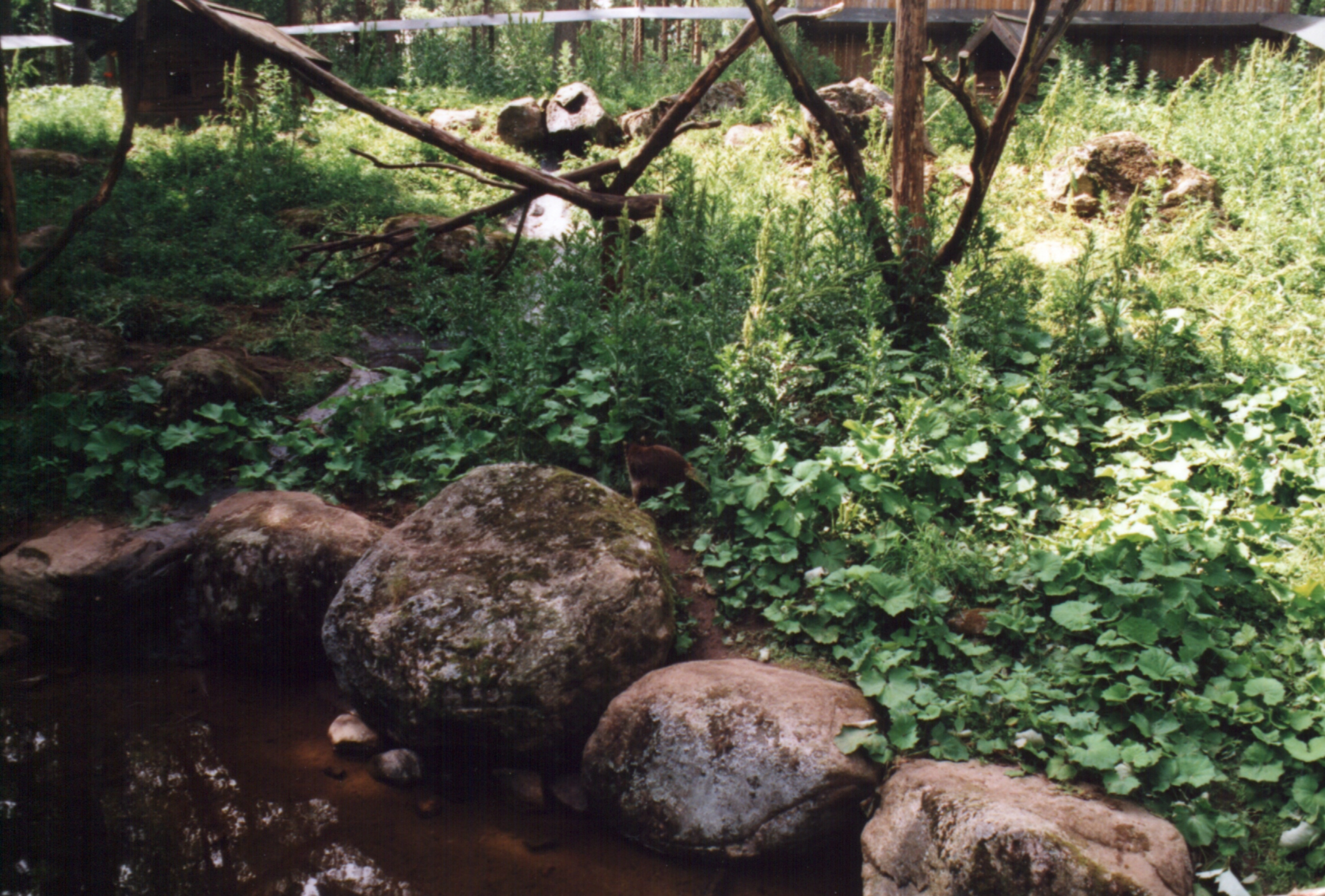 Borås Djurpark, Sverige.