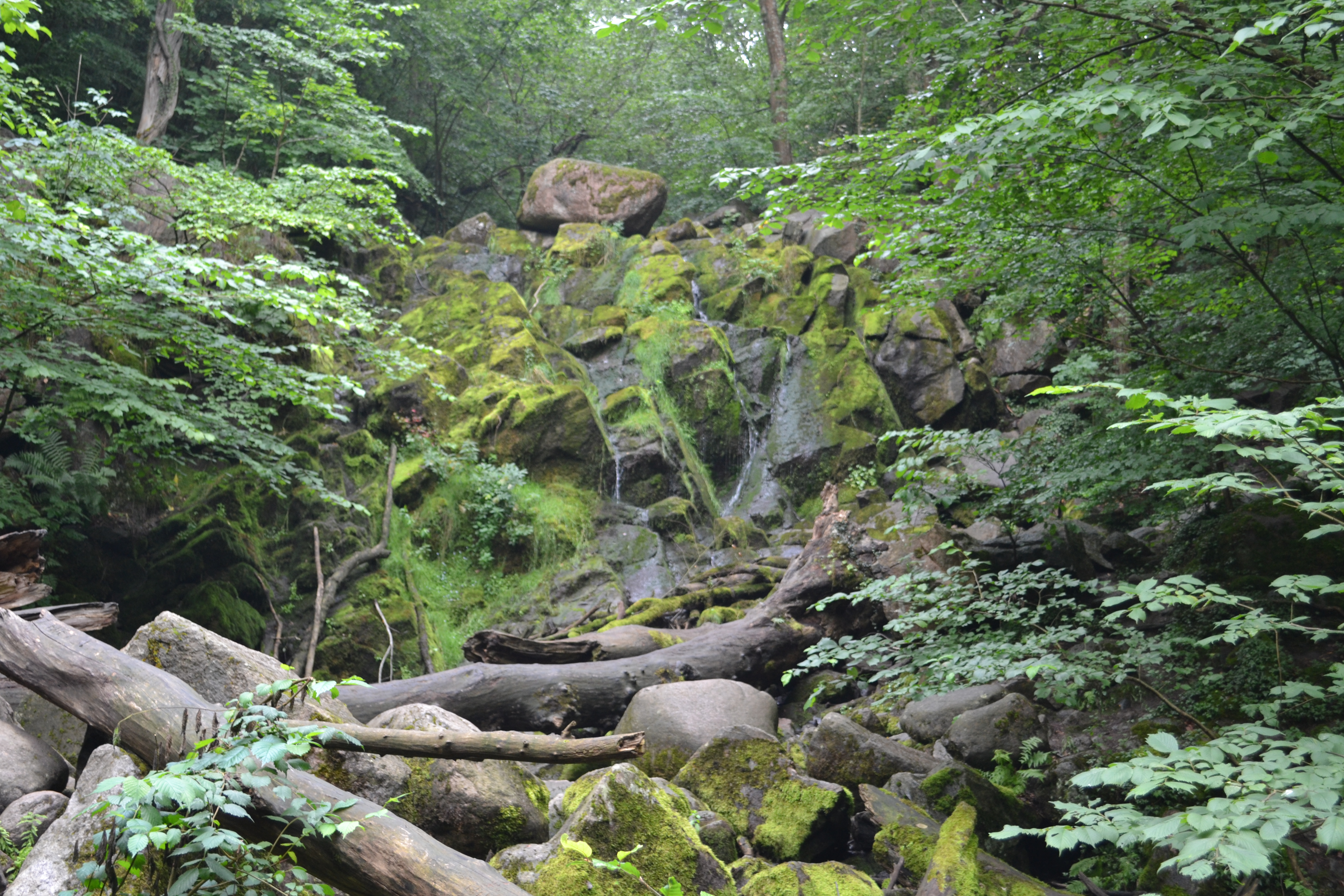 Bornholm-DSC_0351