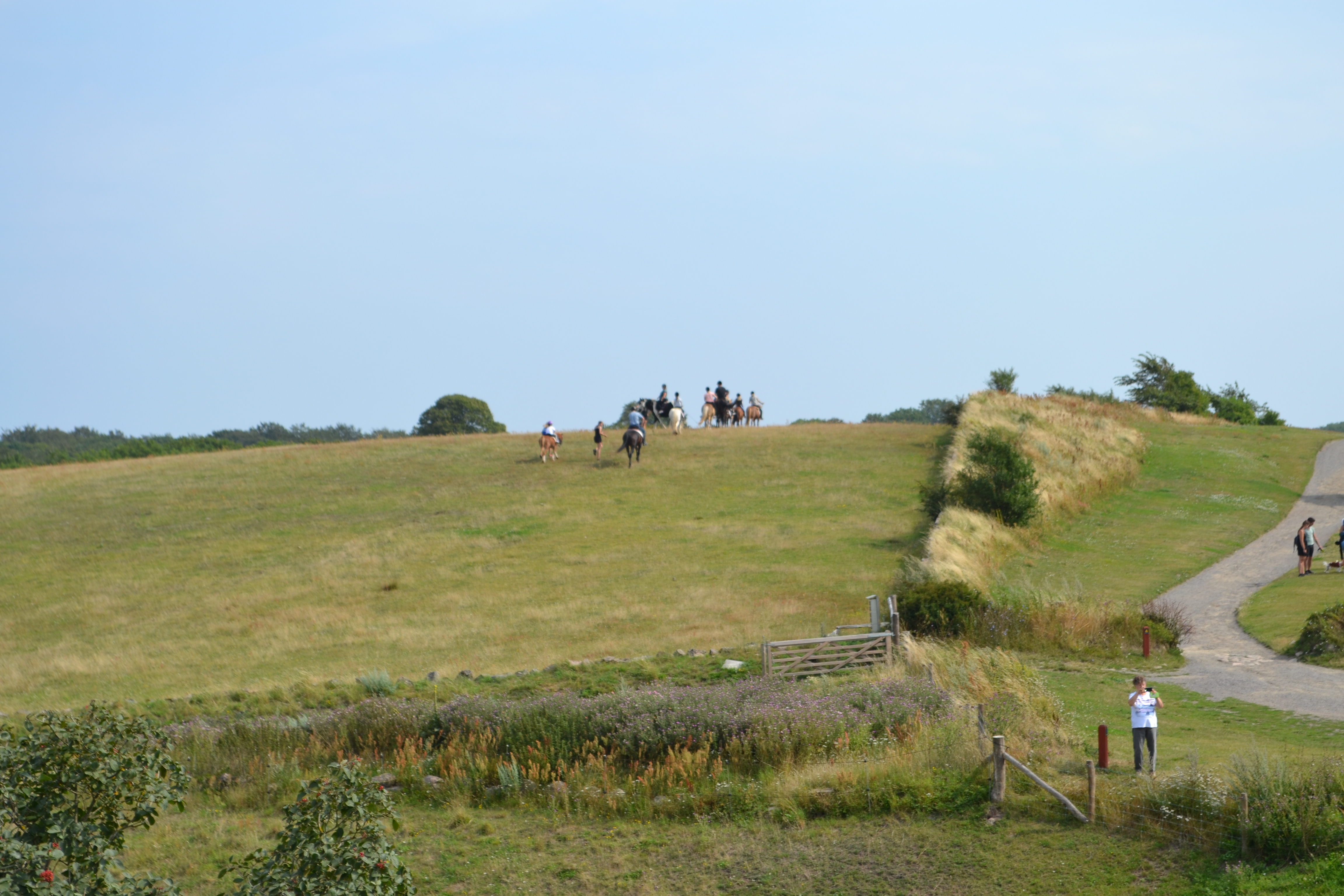 Bornholm-DSC_0423