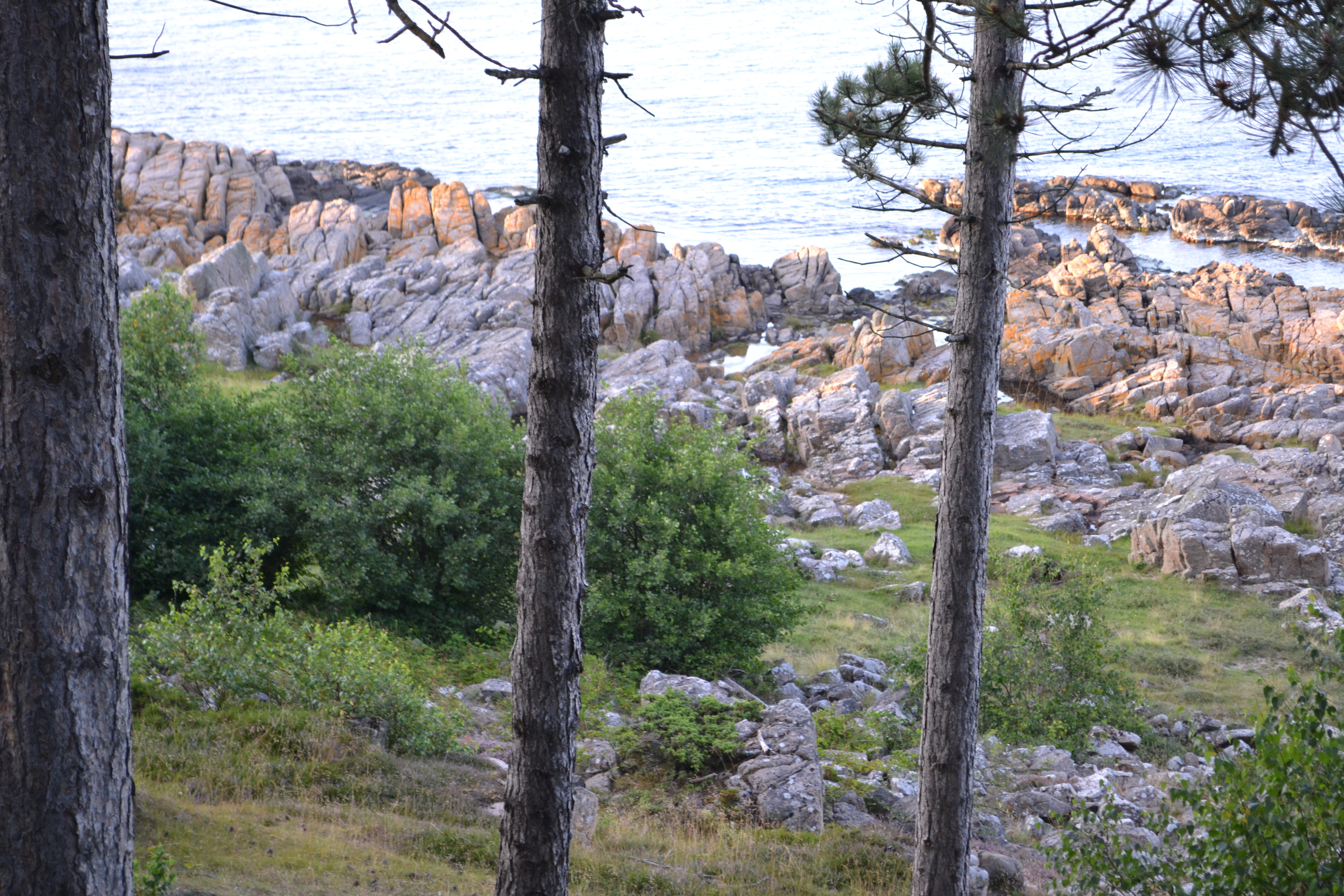 Bornholm-DSC_0832