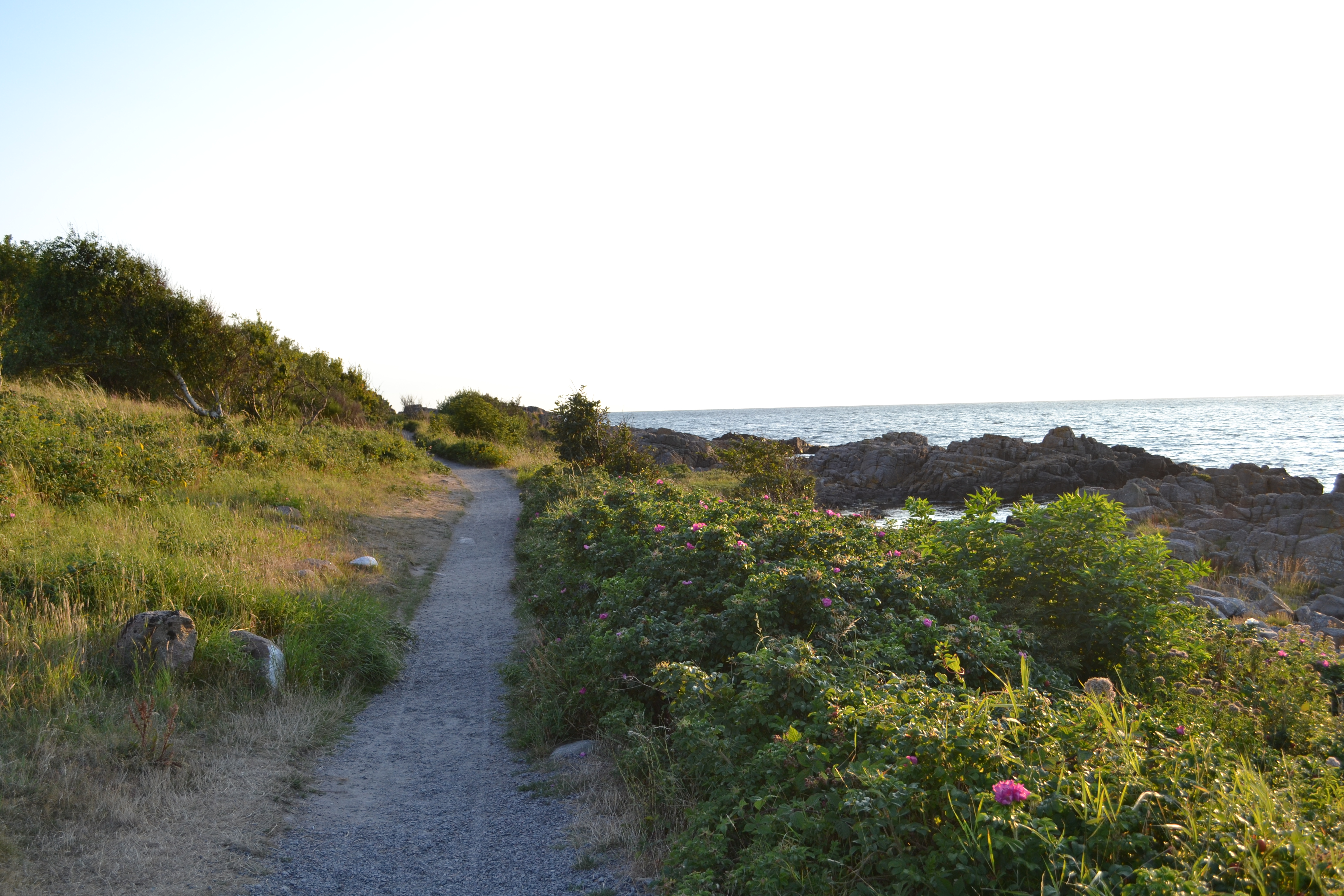 Bornholm-DSC_0844