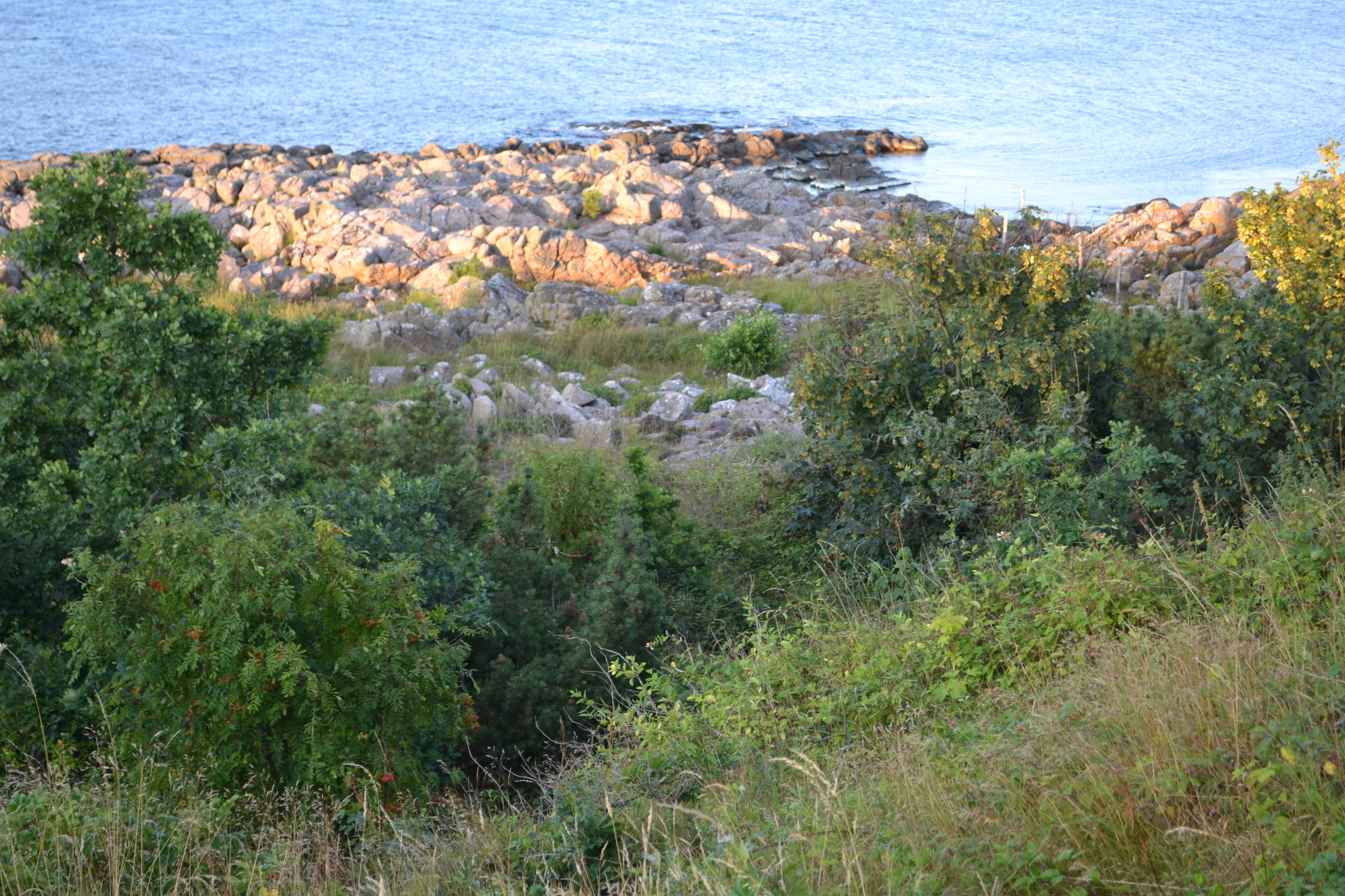 Bornholm-DSC_0860