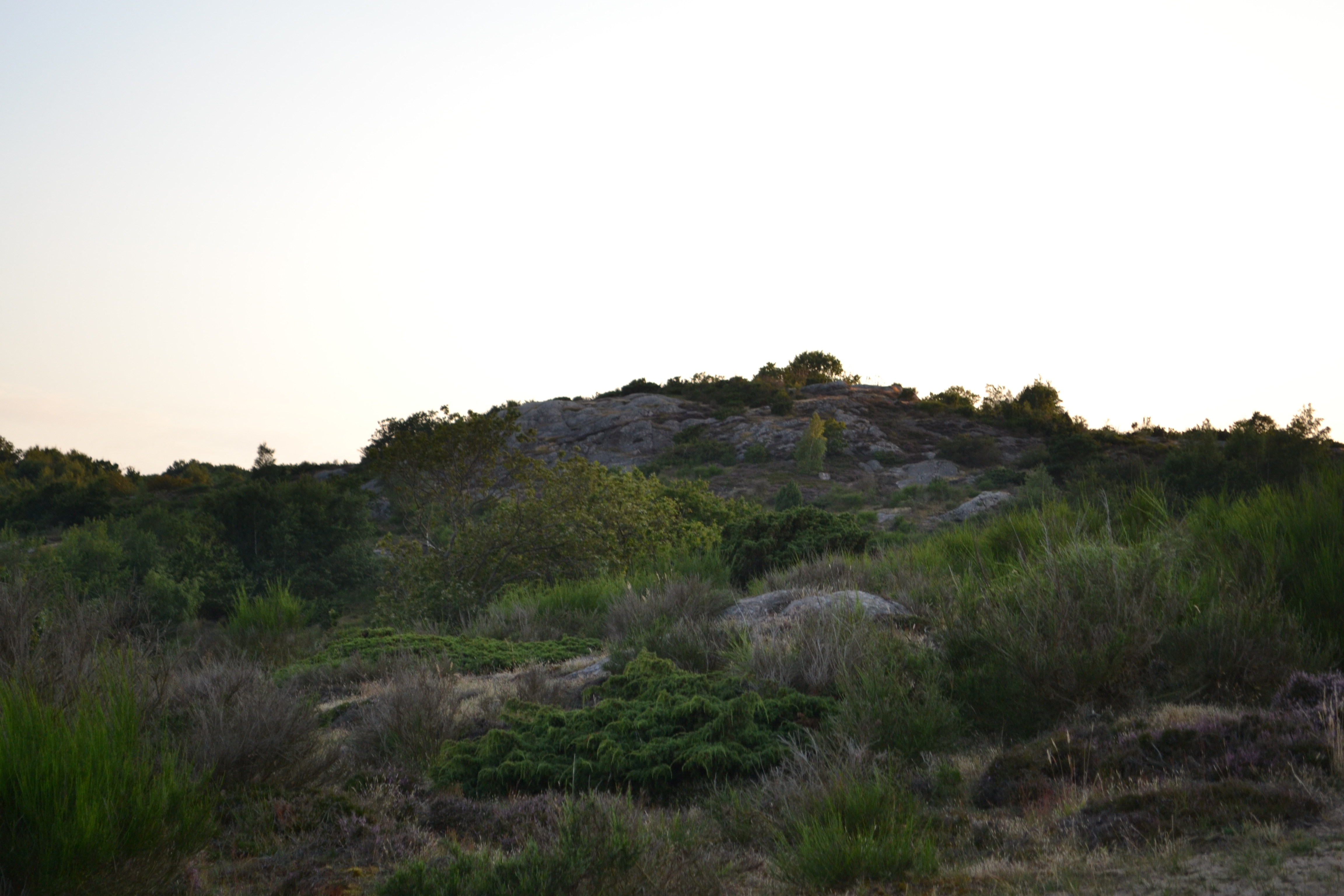 Bornholm-DSC_0864