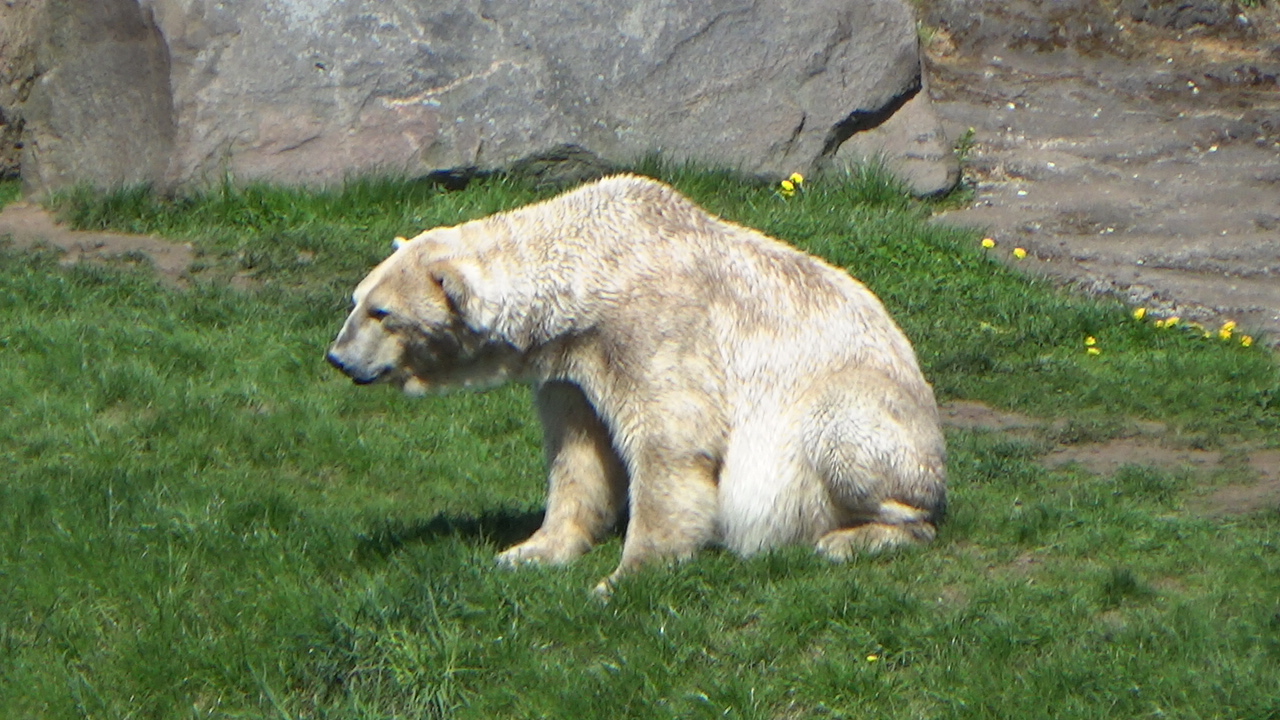 C0027T01