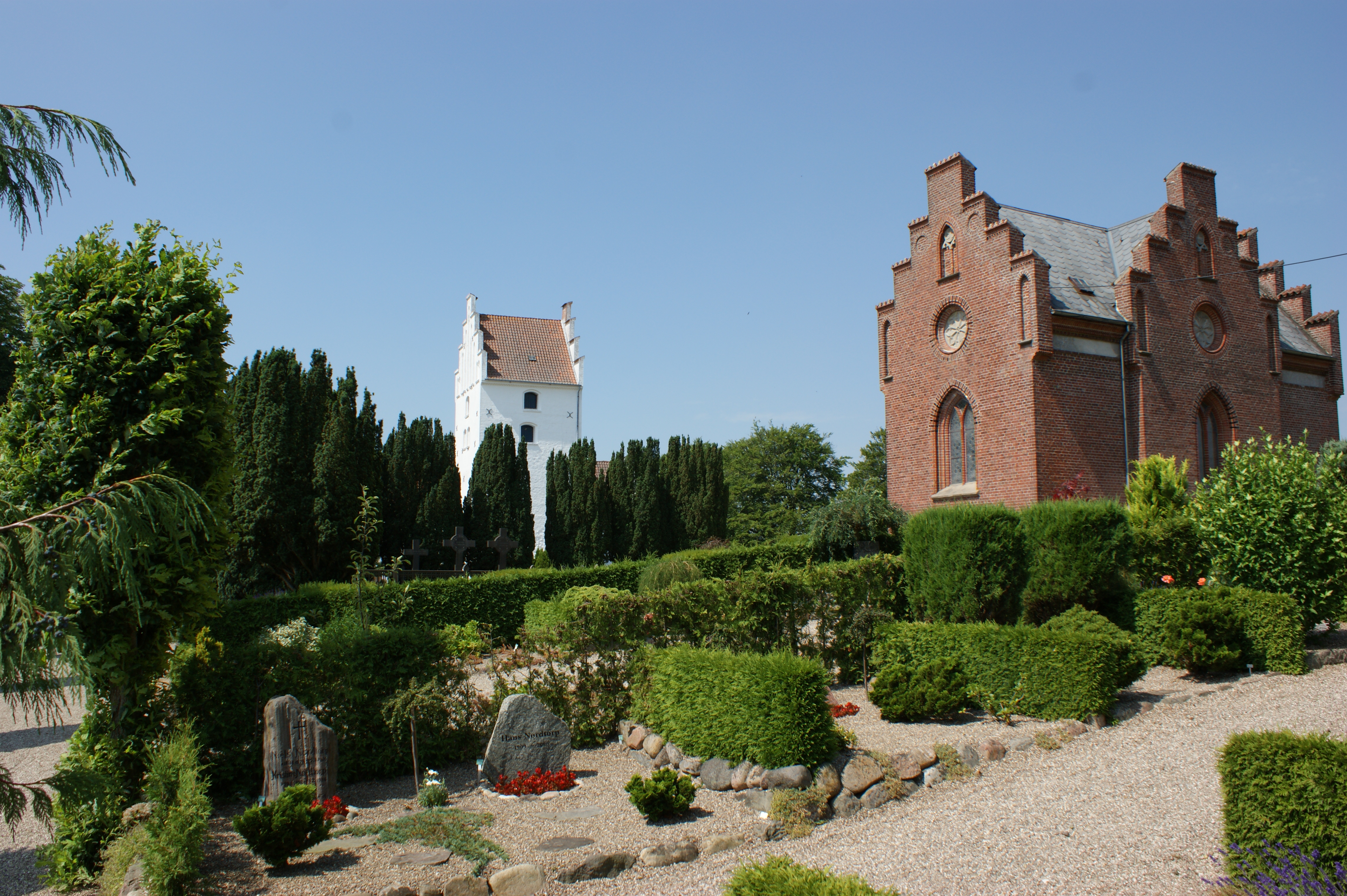 DSC03554