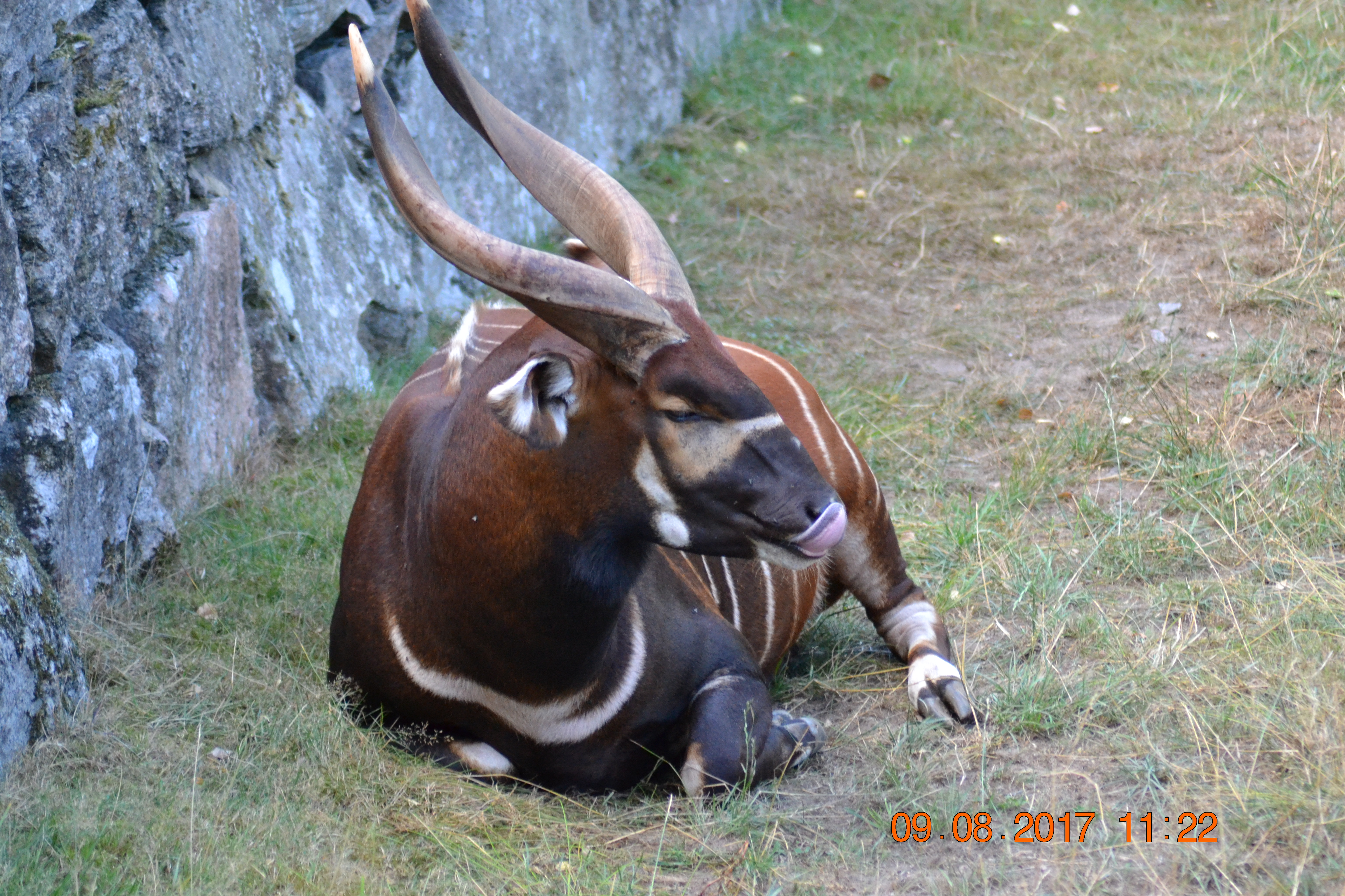 DSC_0180