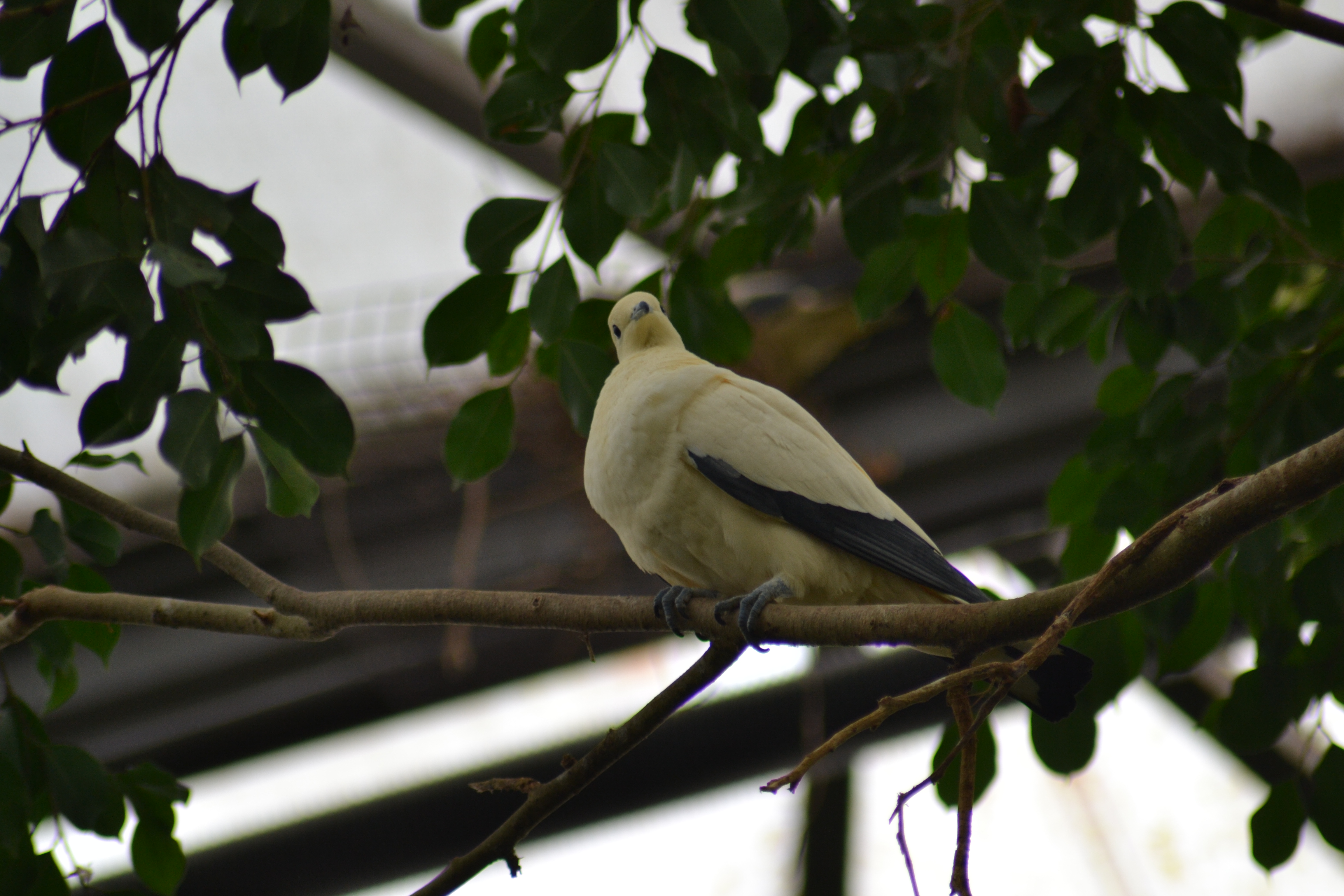 DSC_0197e
