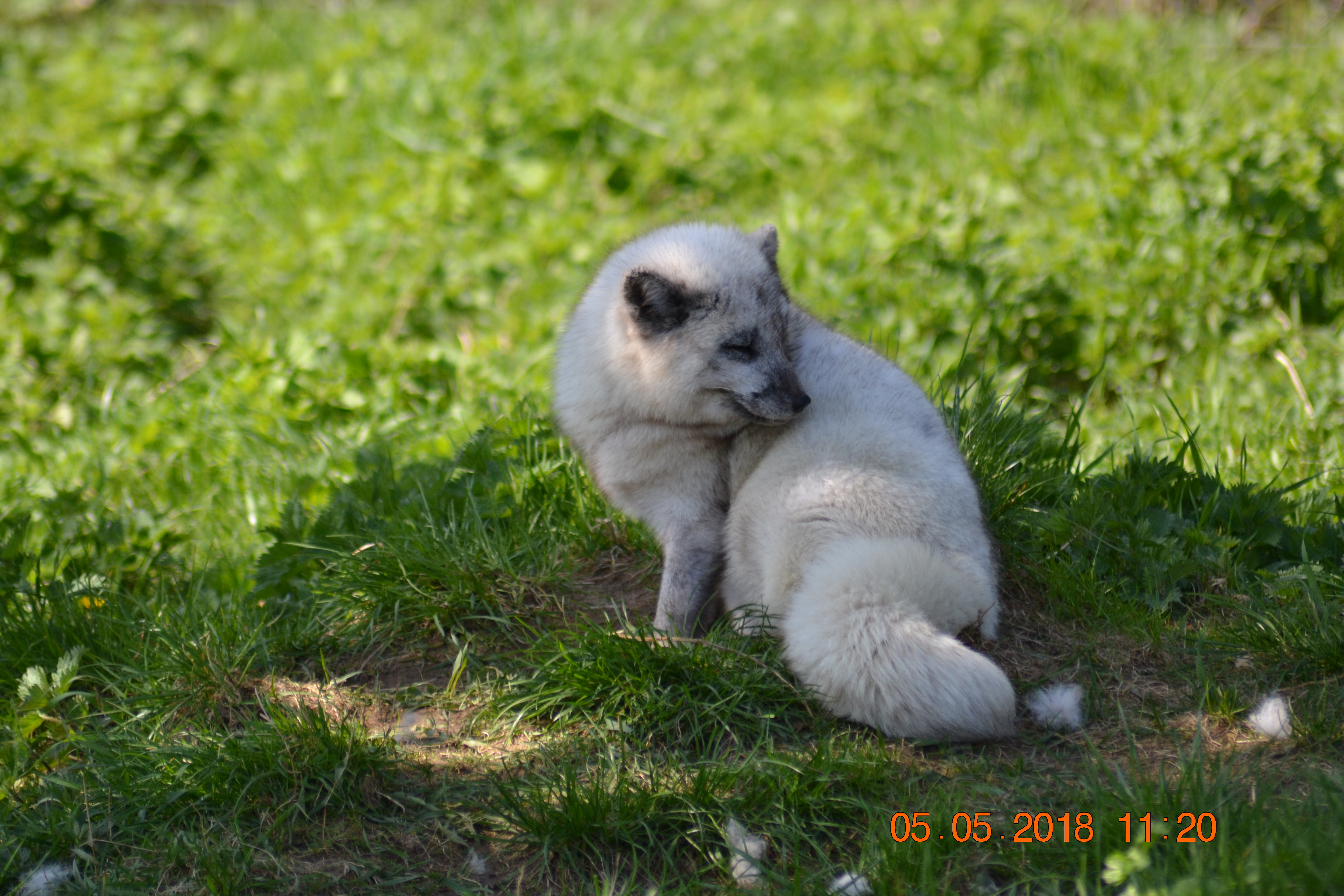 DSC_0299