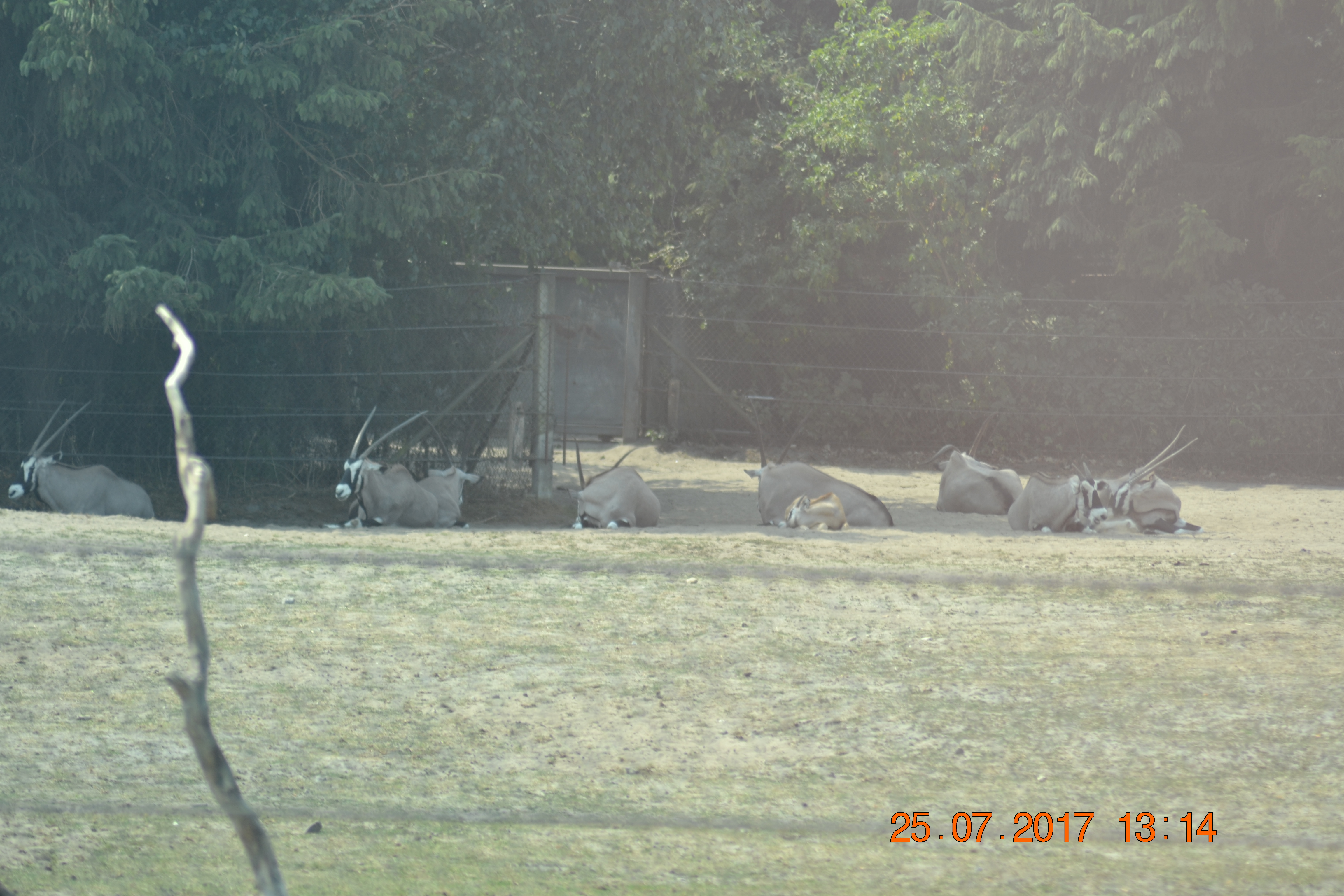DSC_0305b