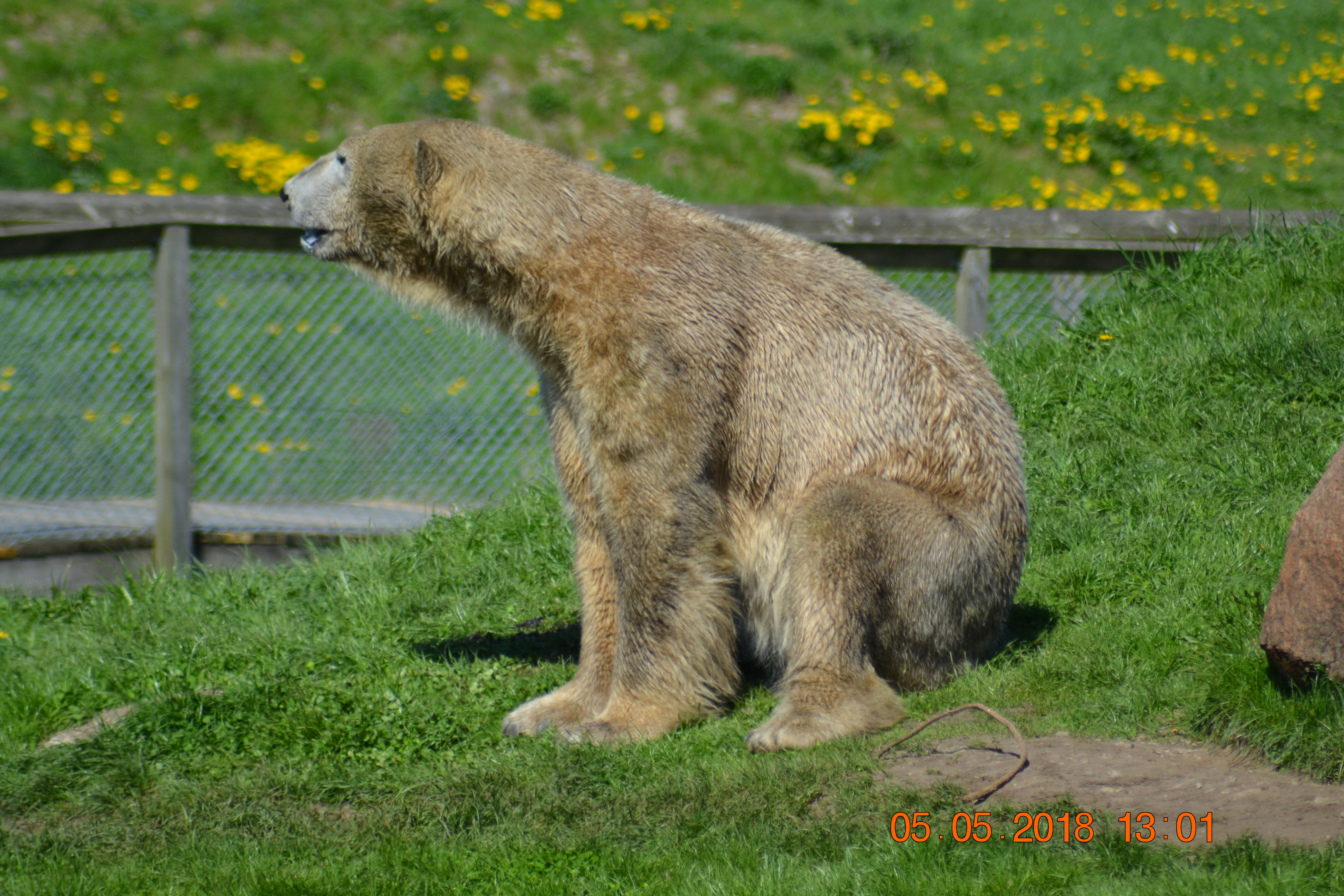 DSC_0402