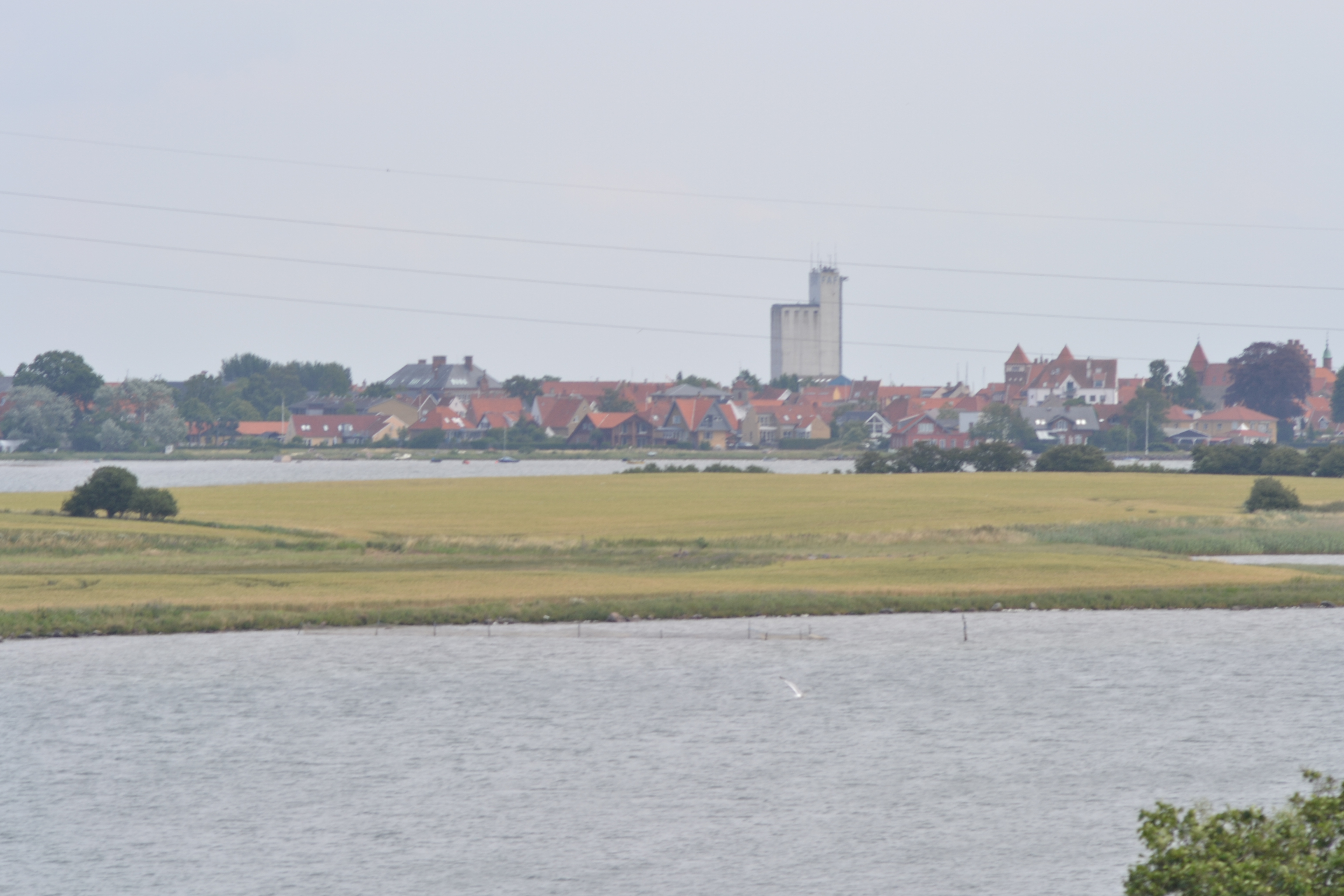 DSC_0646