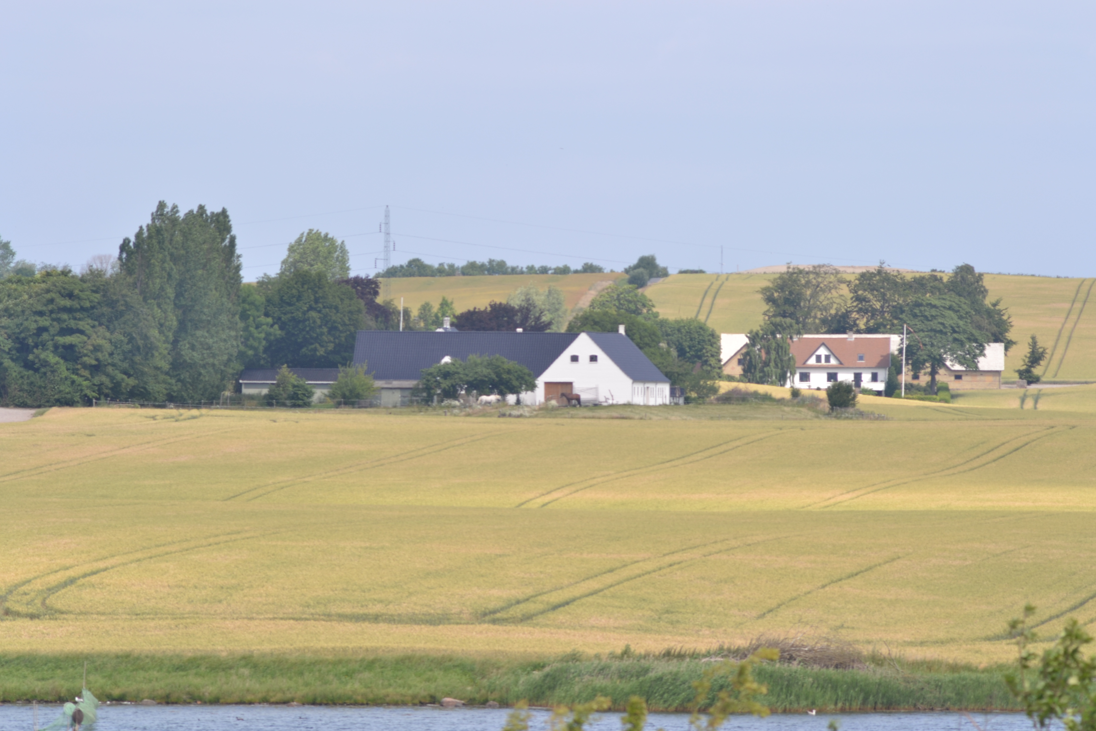 DSC_0648