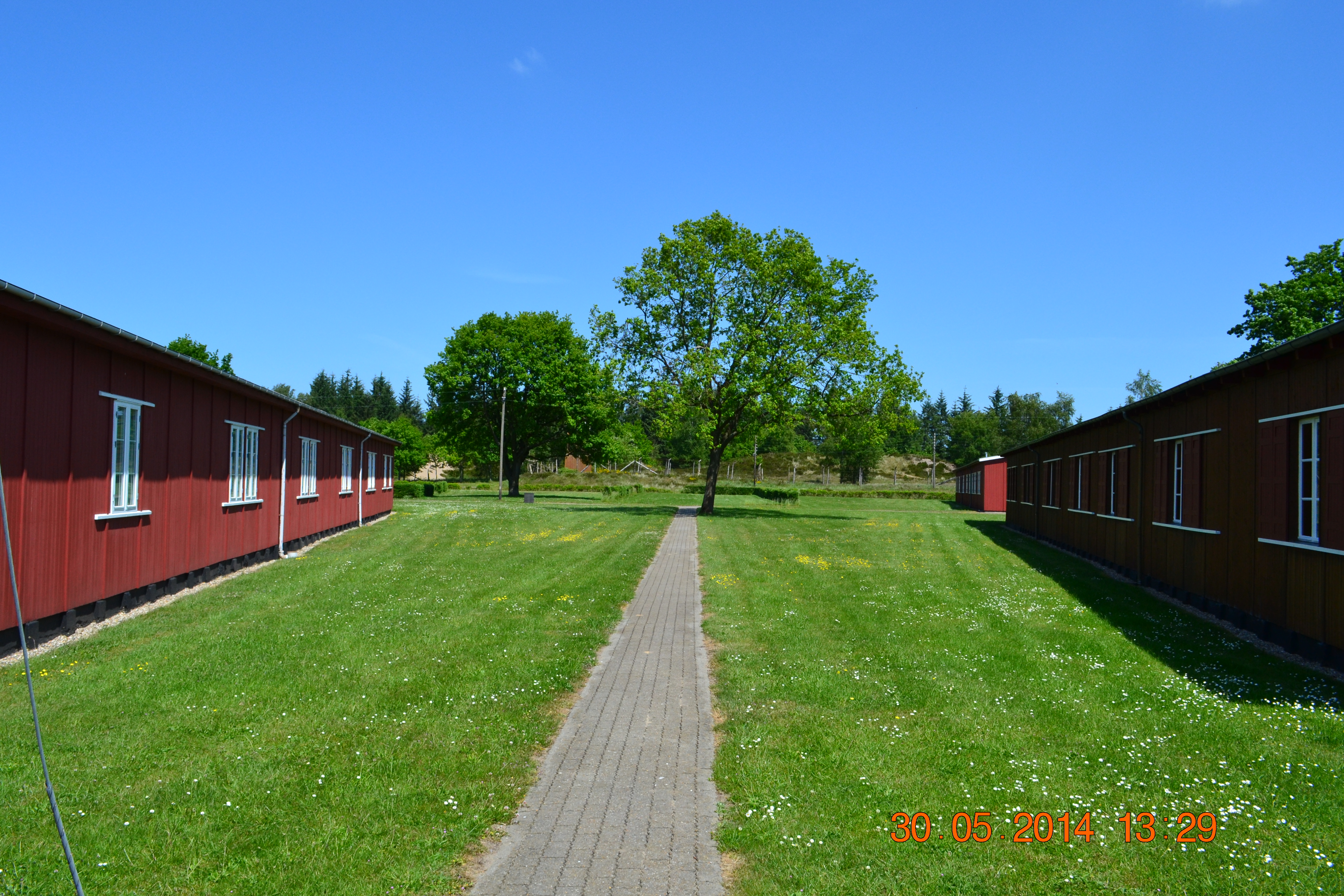 DSC_1209