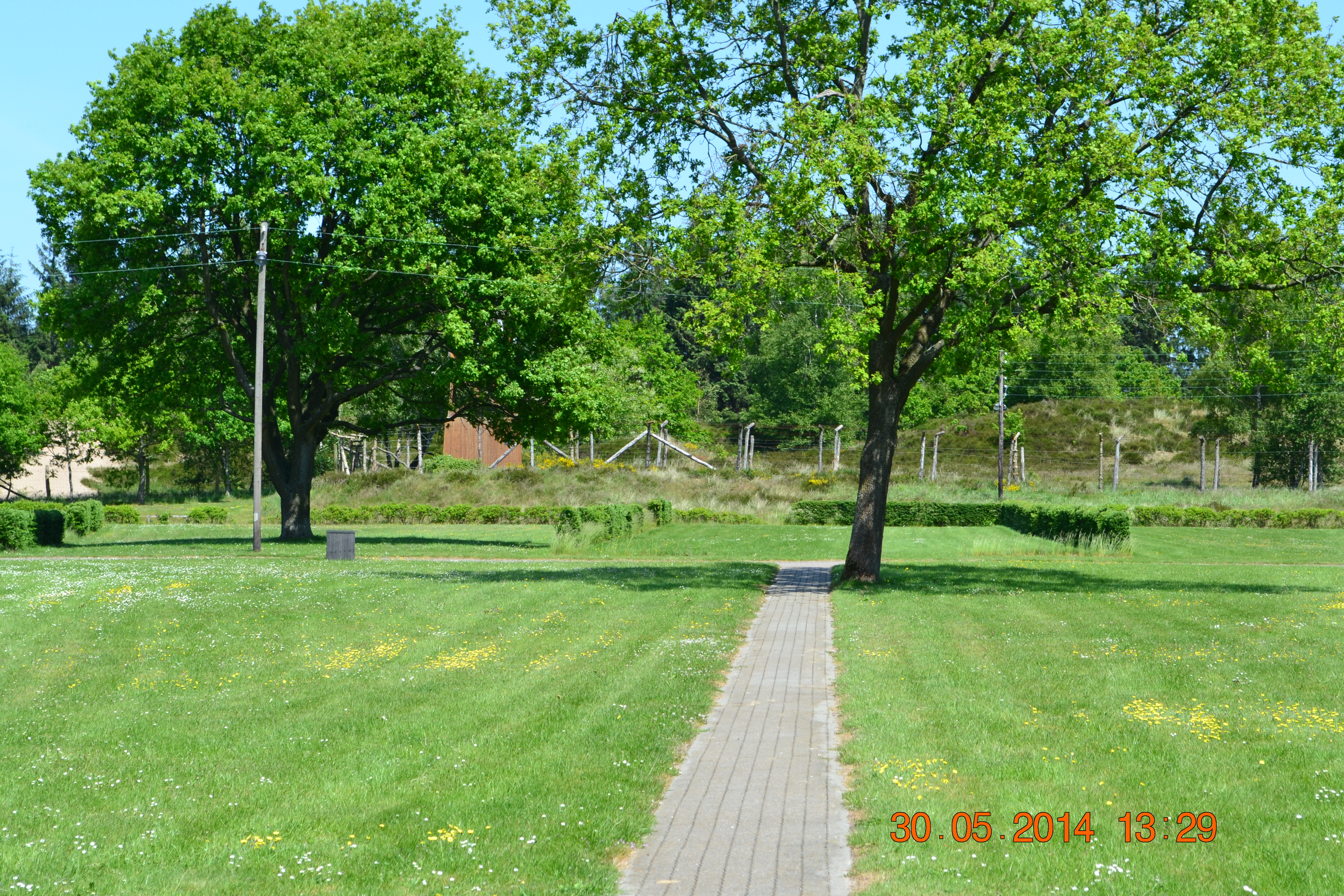 DSC_1210
