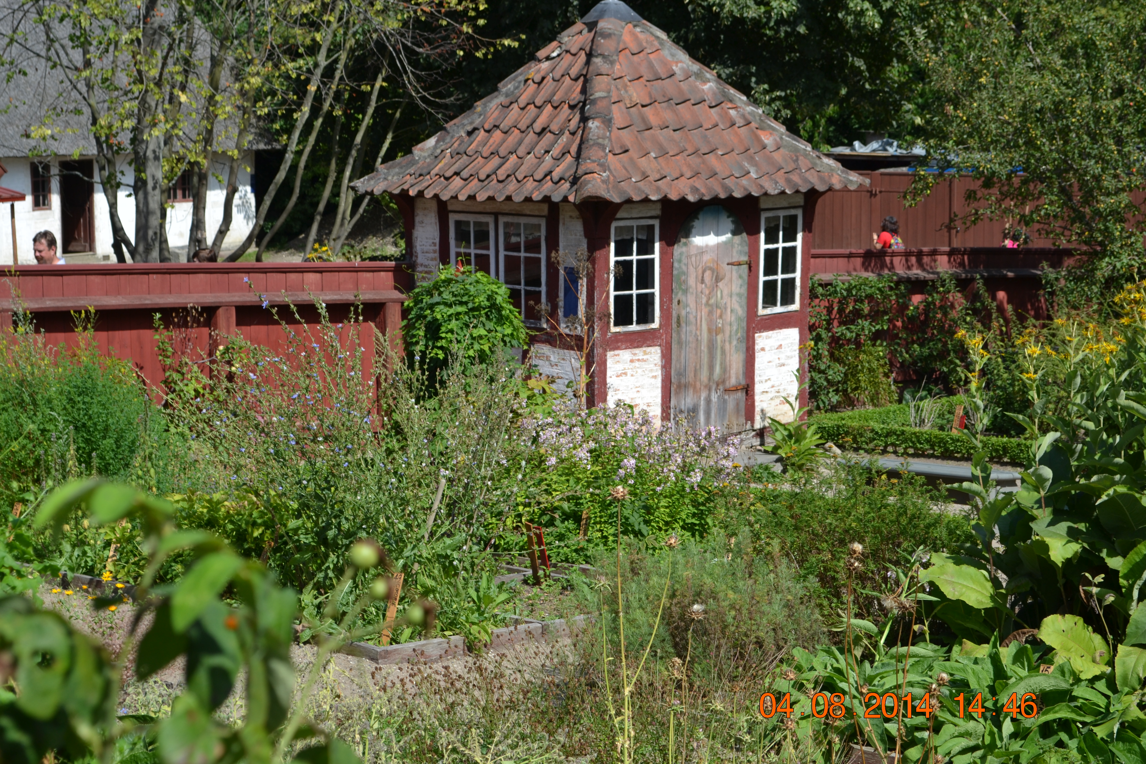 DSC_1444