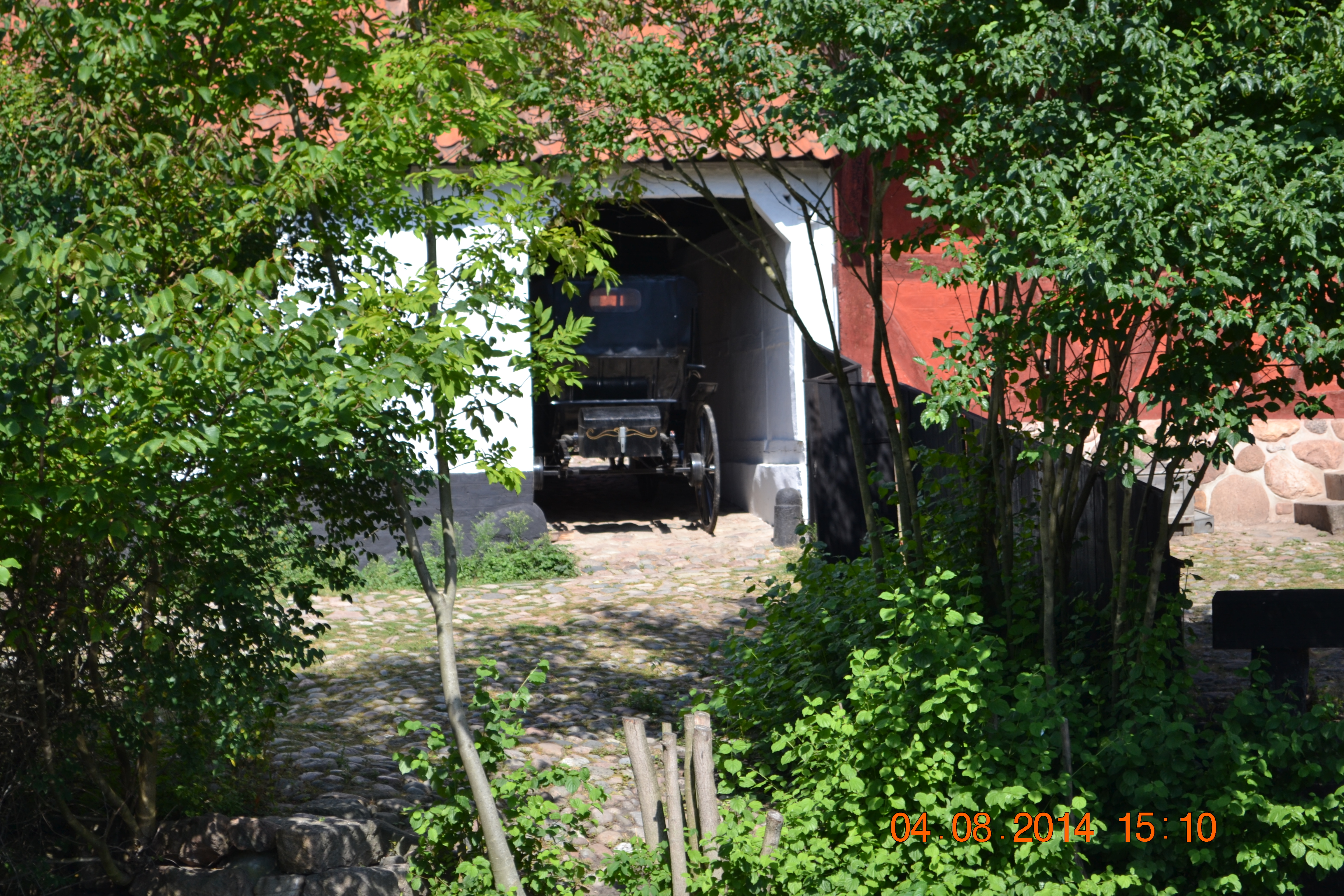 DSC_1483