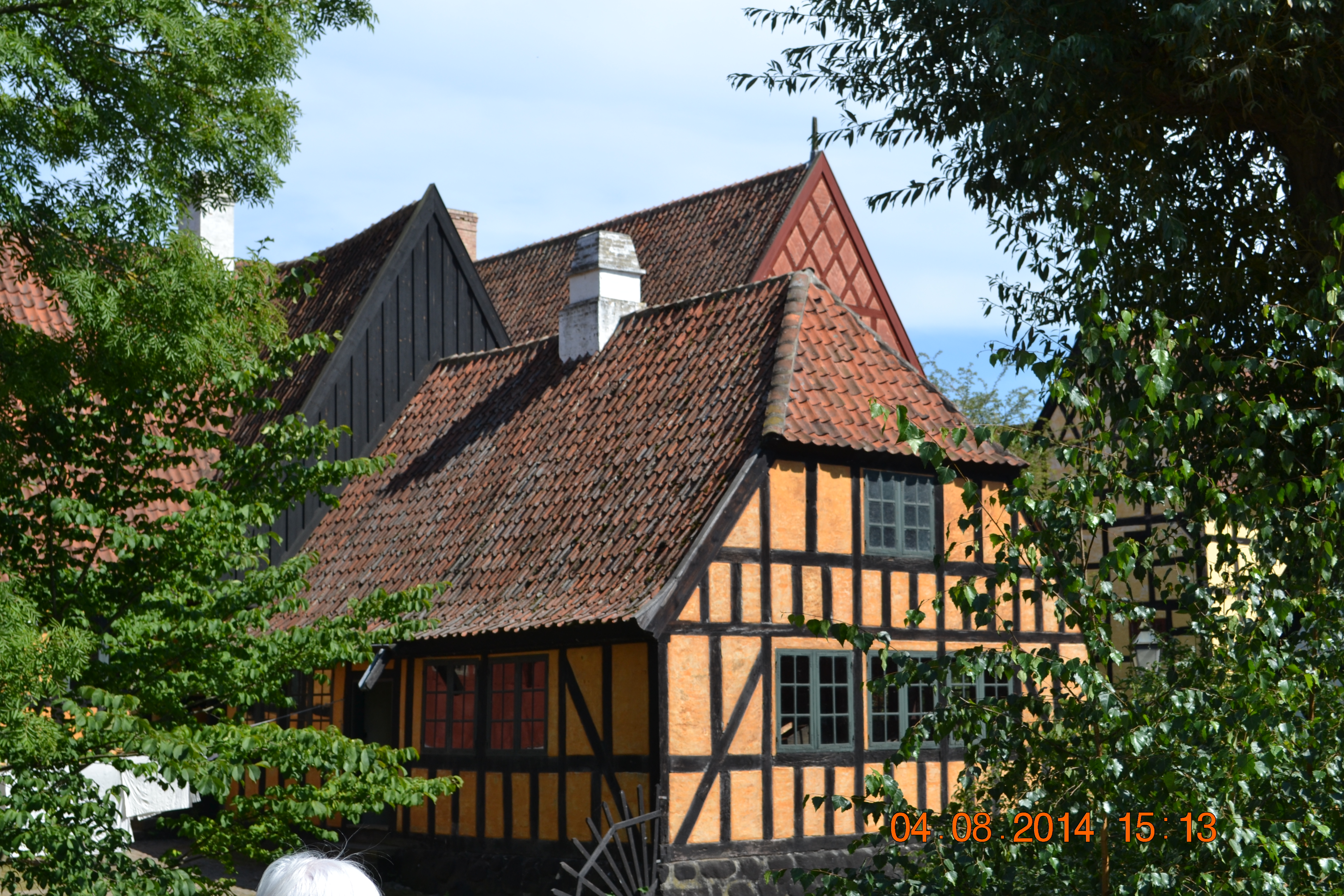 DSC_1497