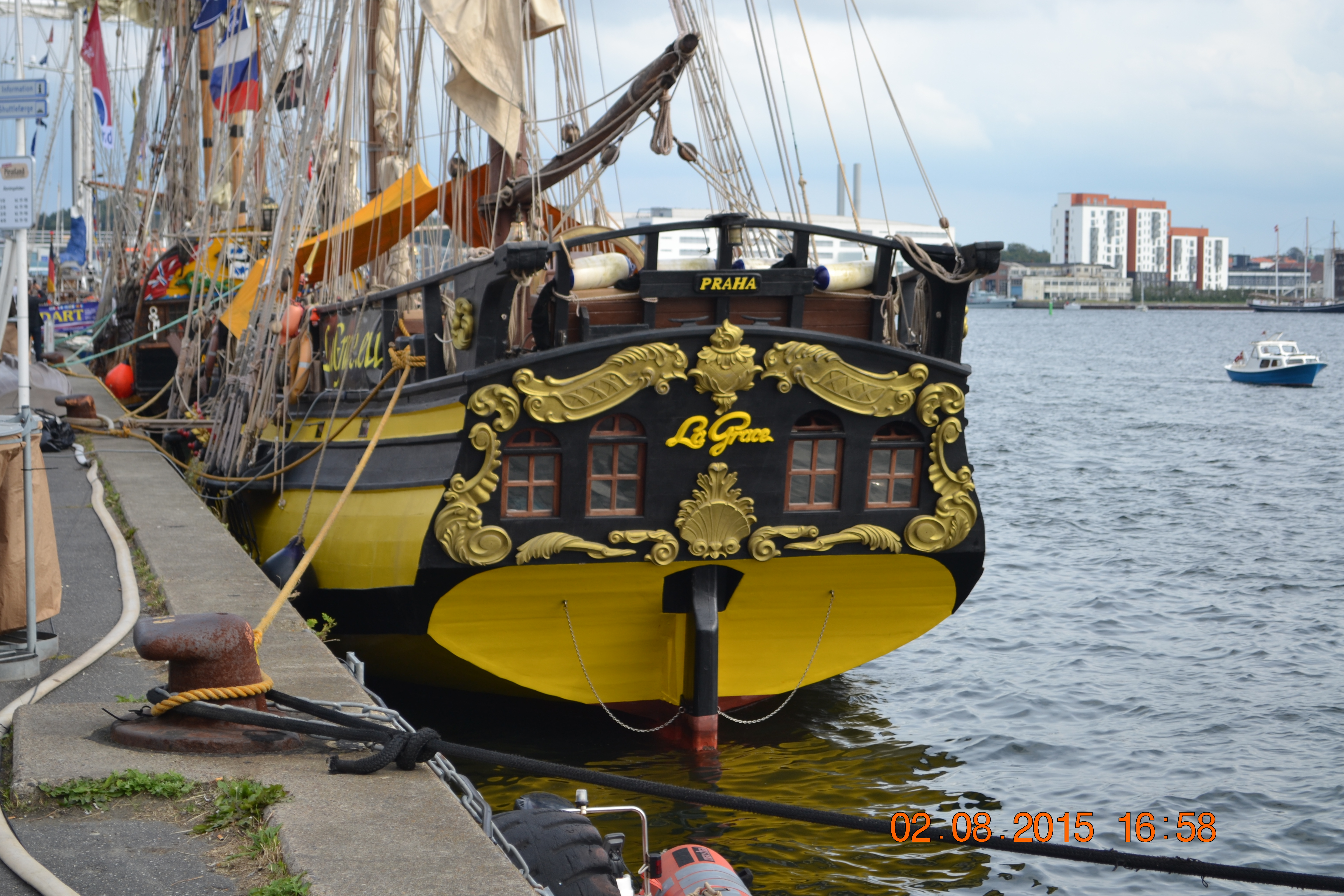 DSC_1619