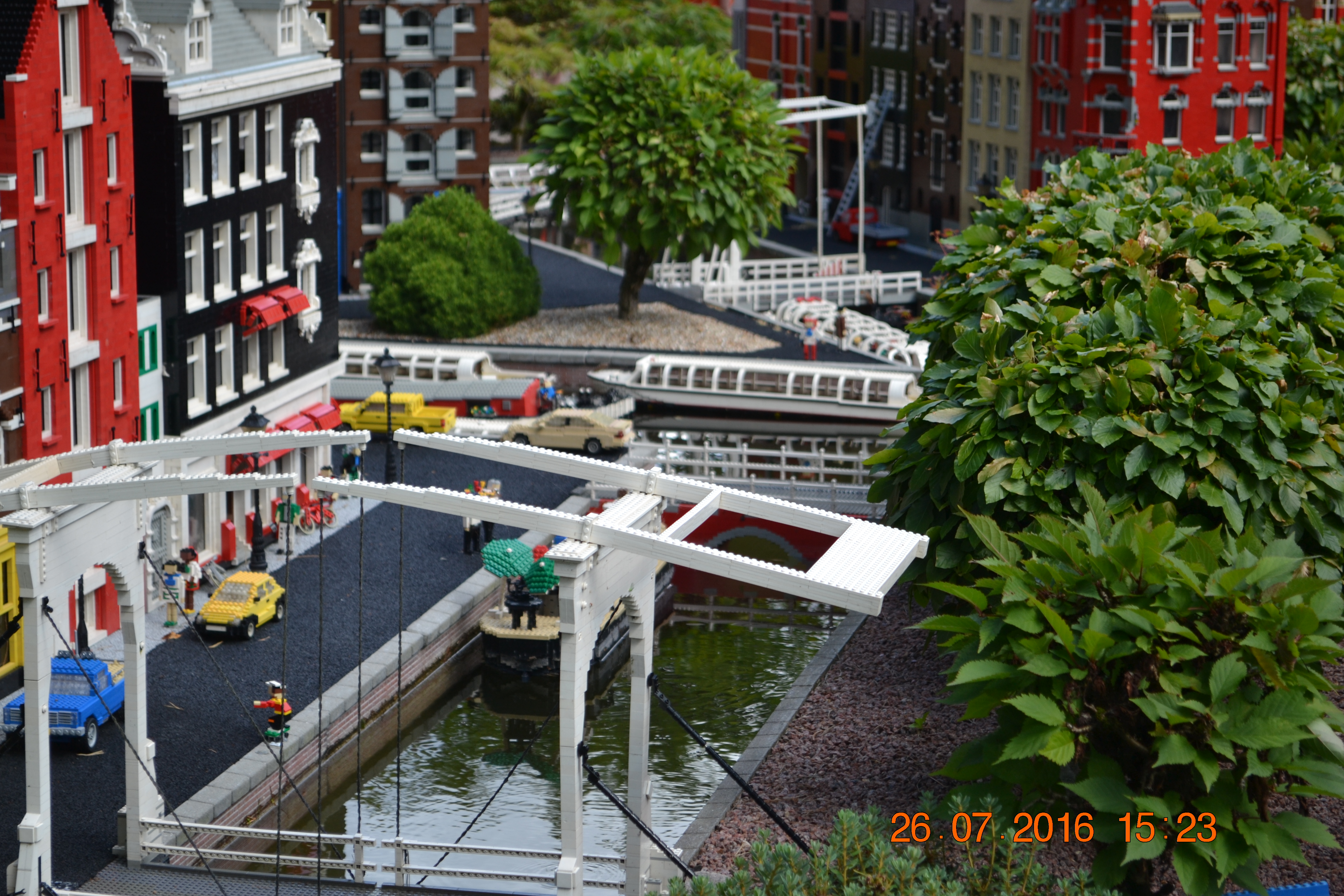 DSC_1833