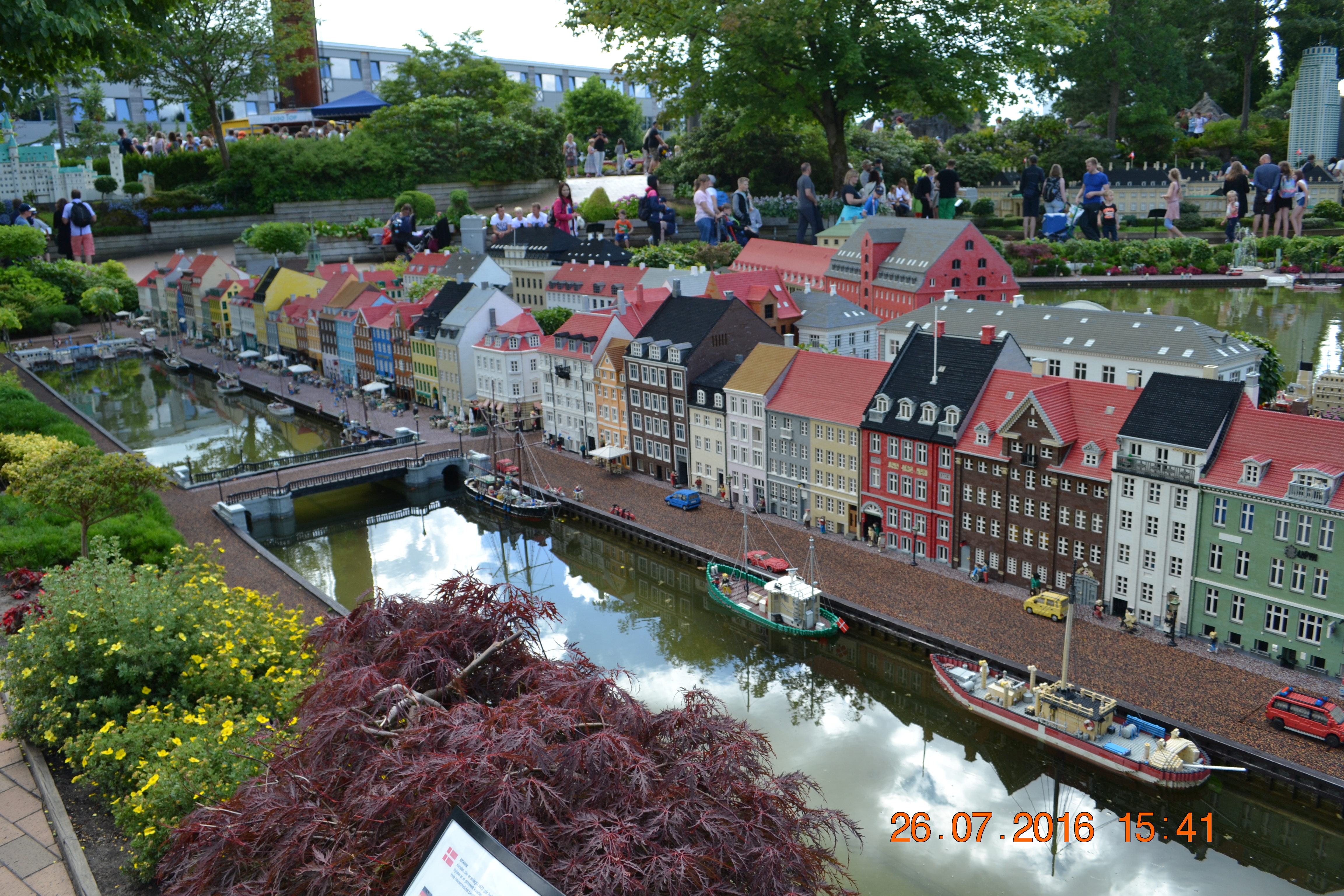 DSC_1843