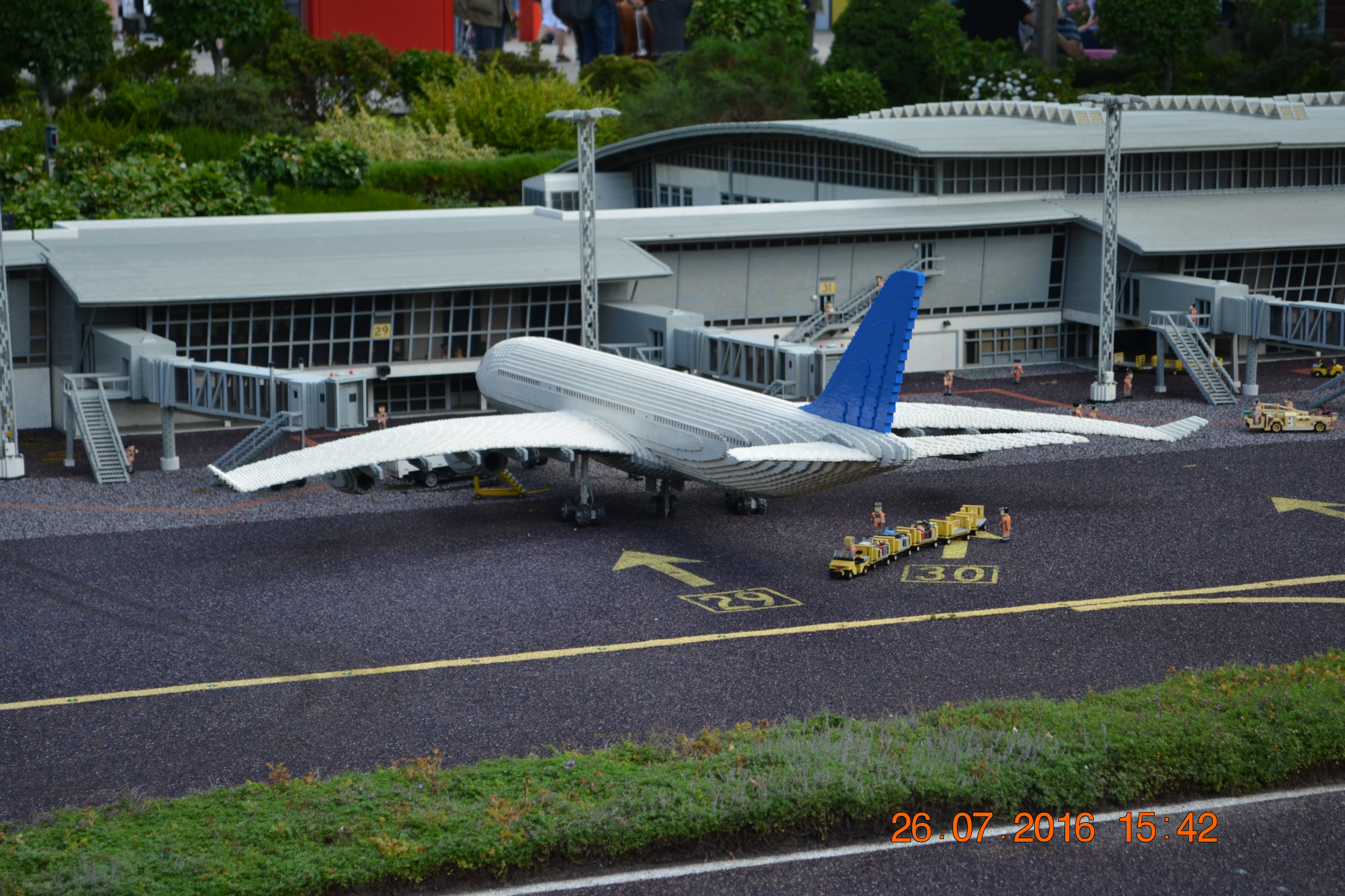 DSC_1845