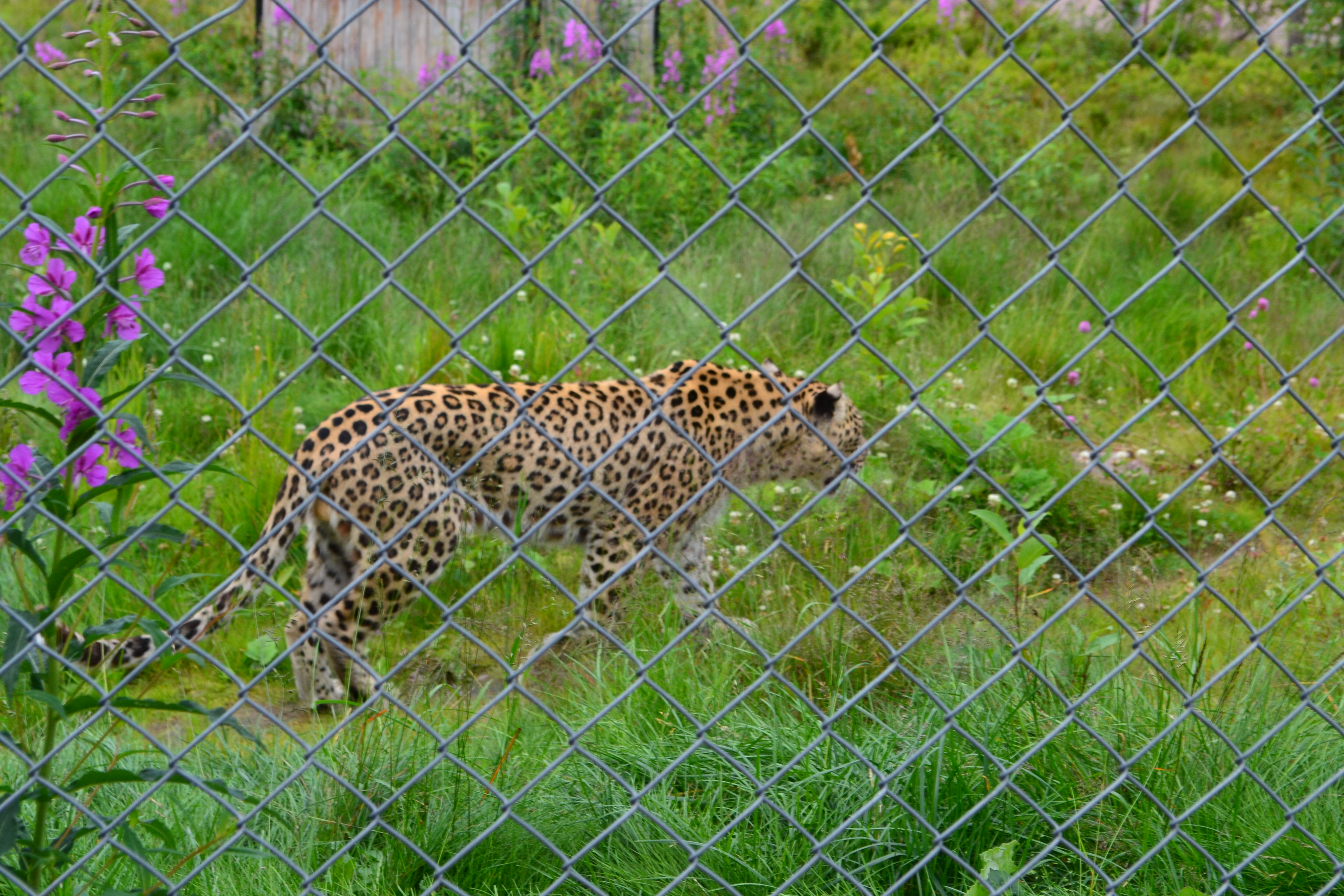 DSC_2757