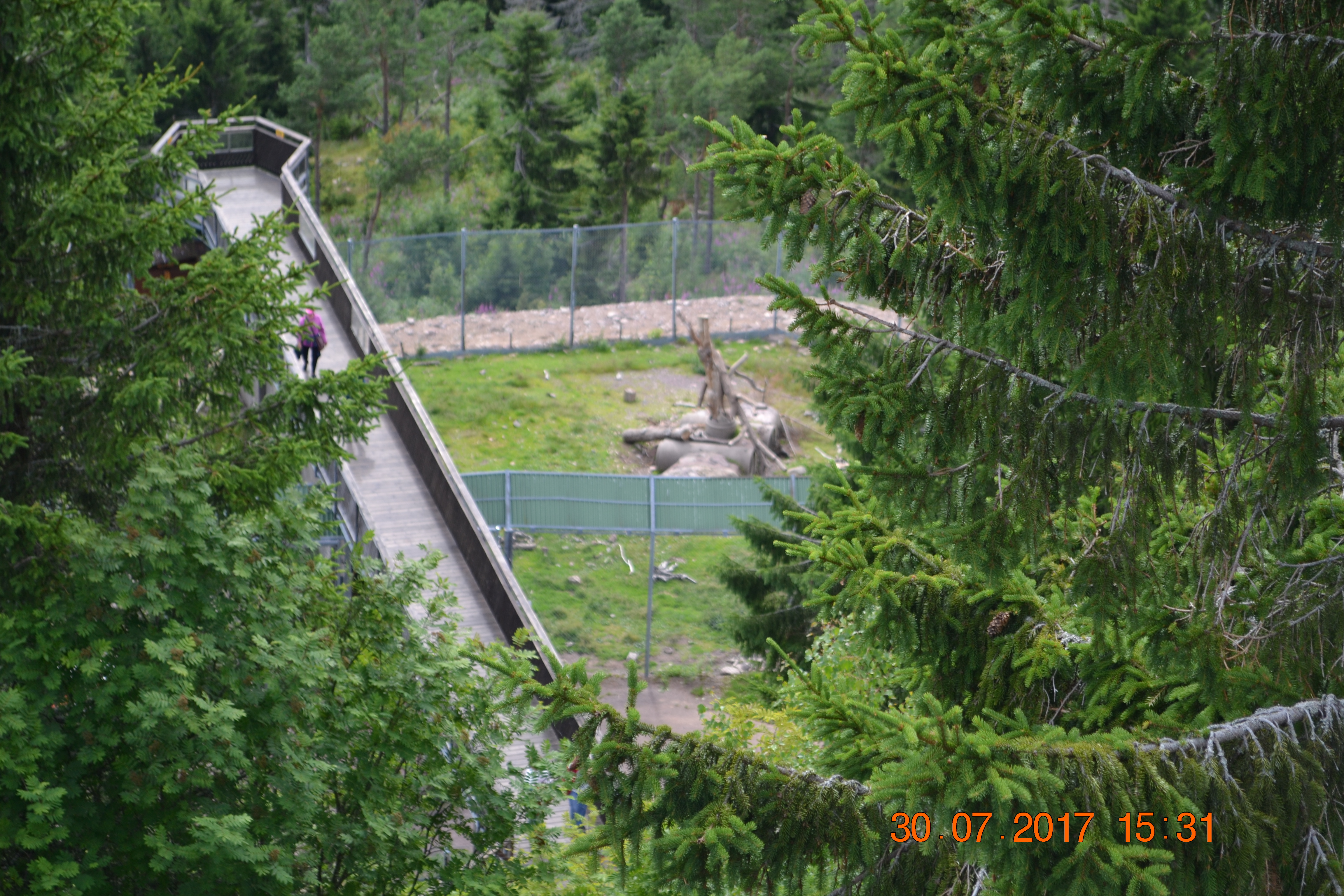 DSC_2793