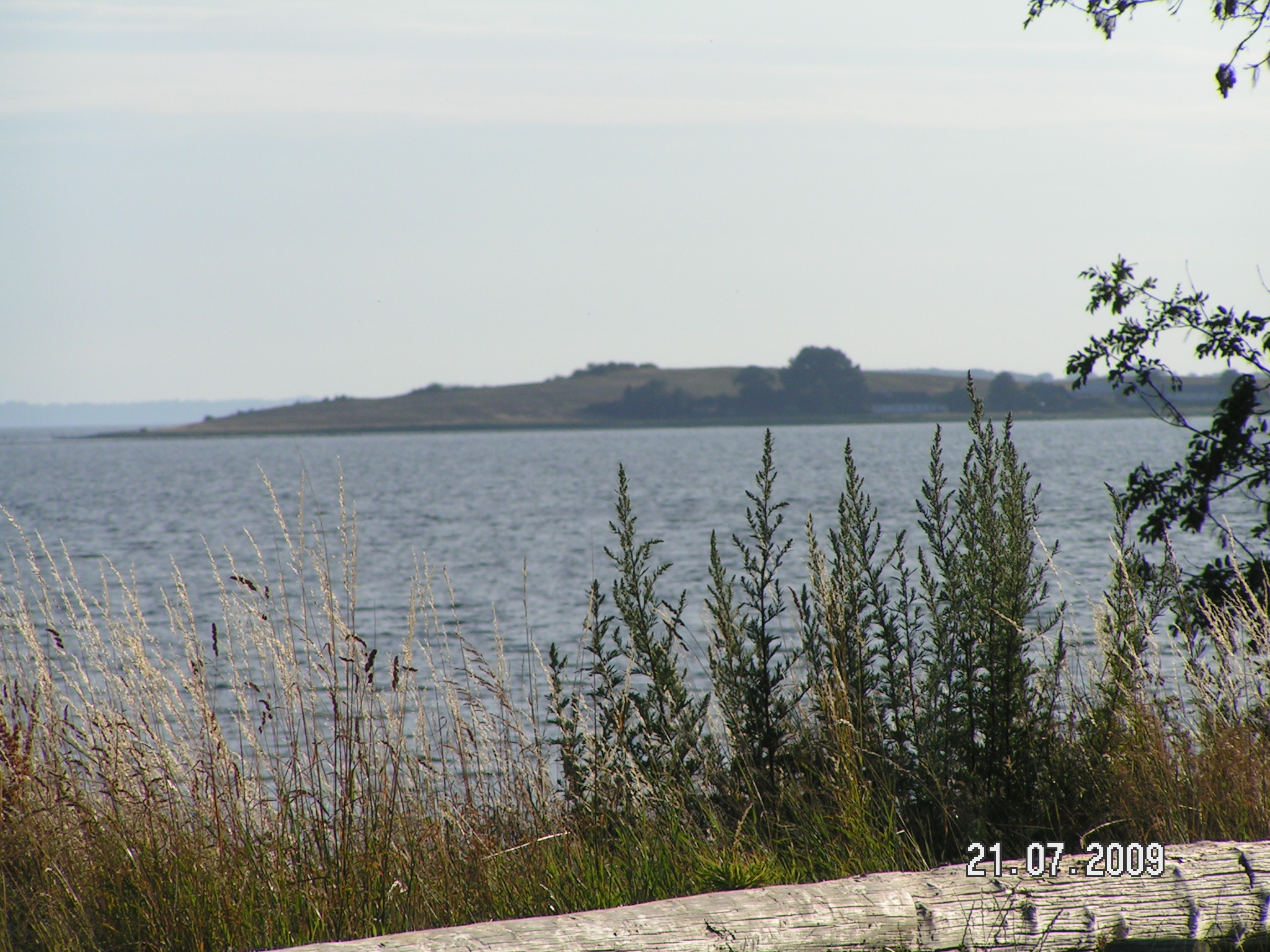 PICT0053
