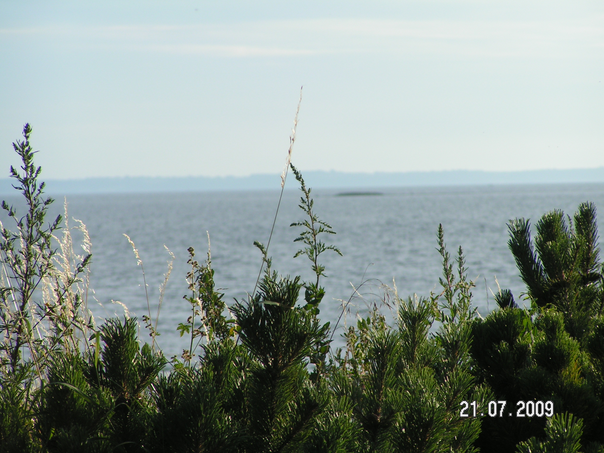 PICT0055