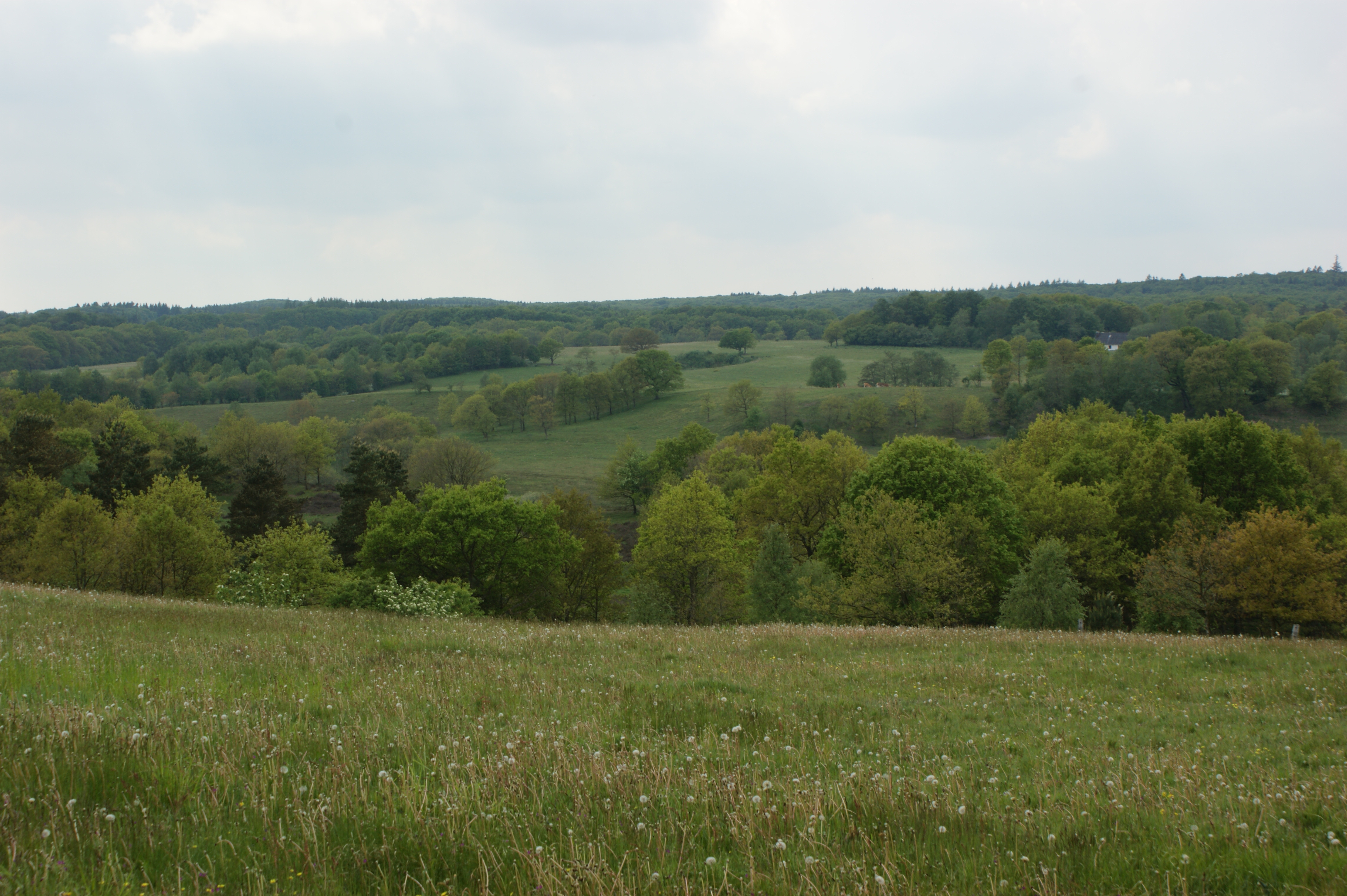 sommer 2009 358