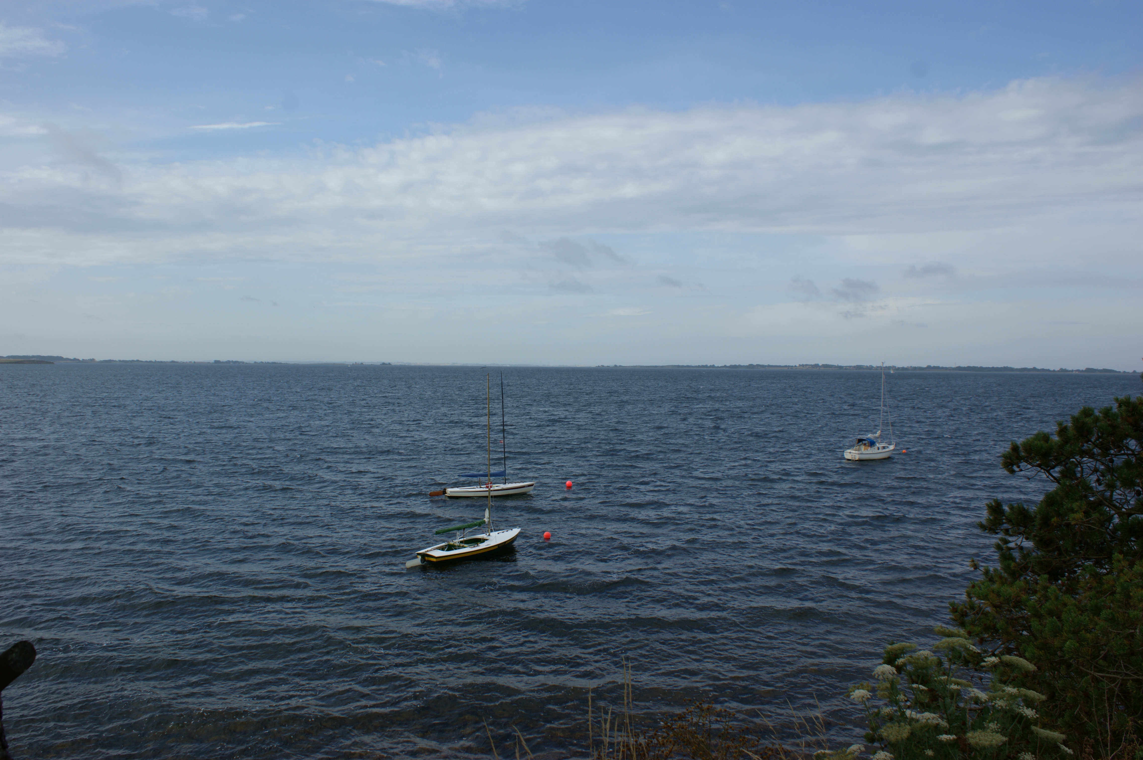 sommer 2009 474