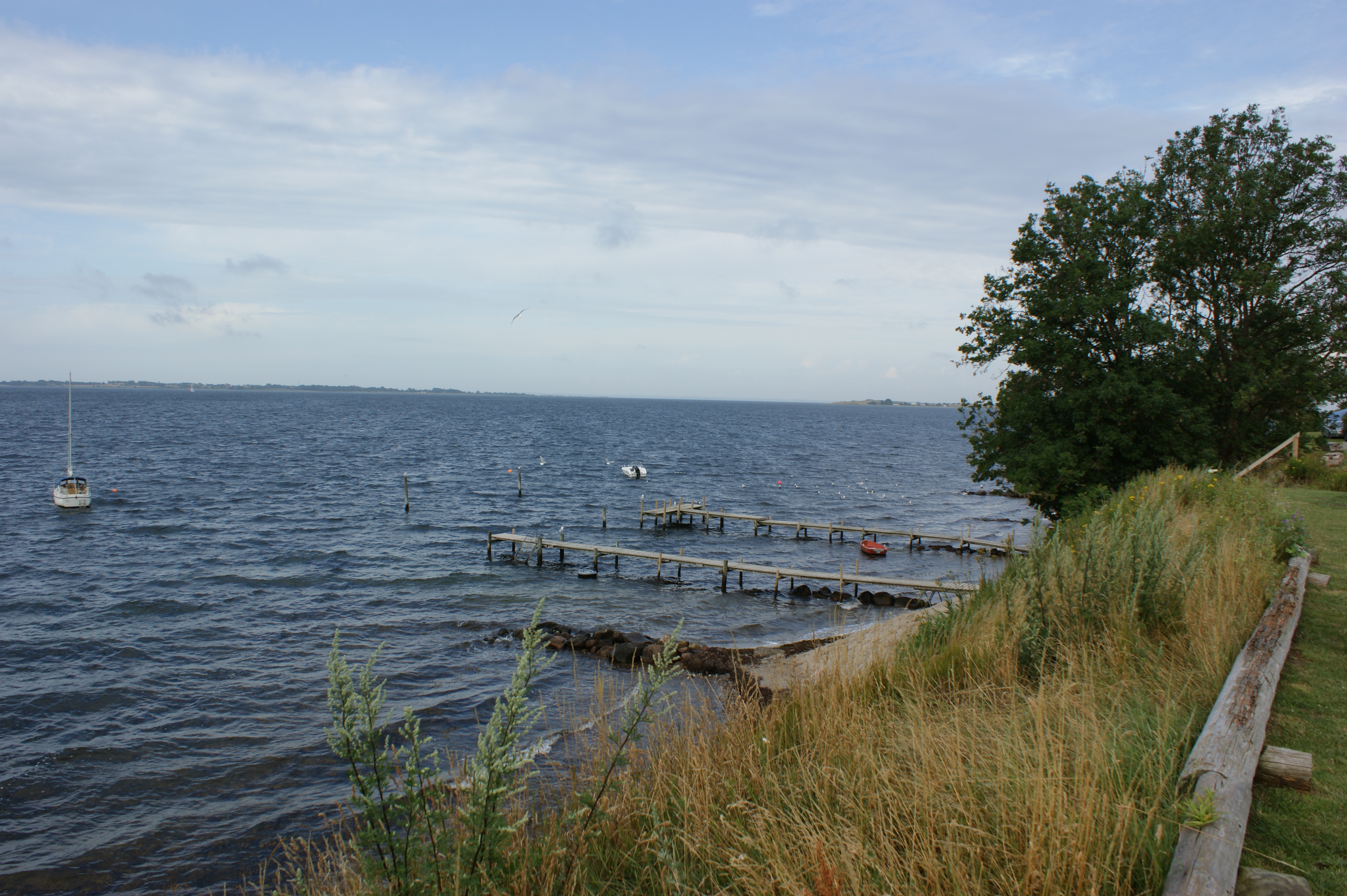 sommer 2009 476